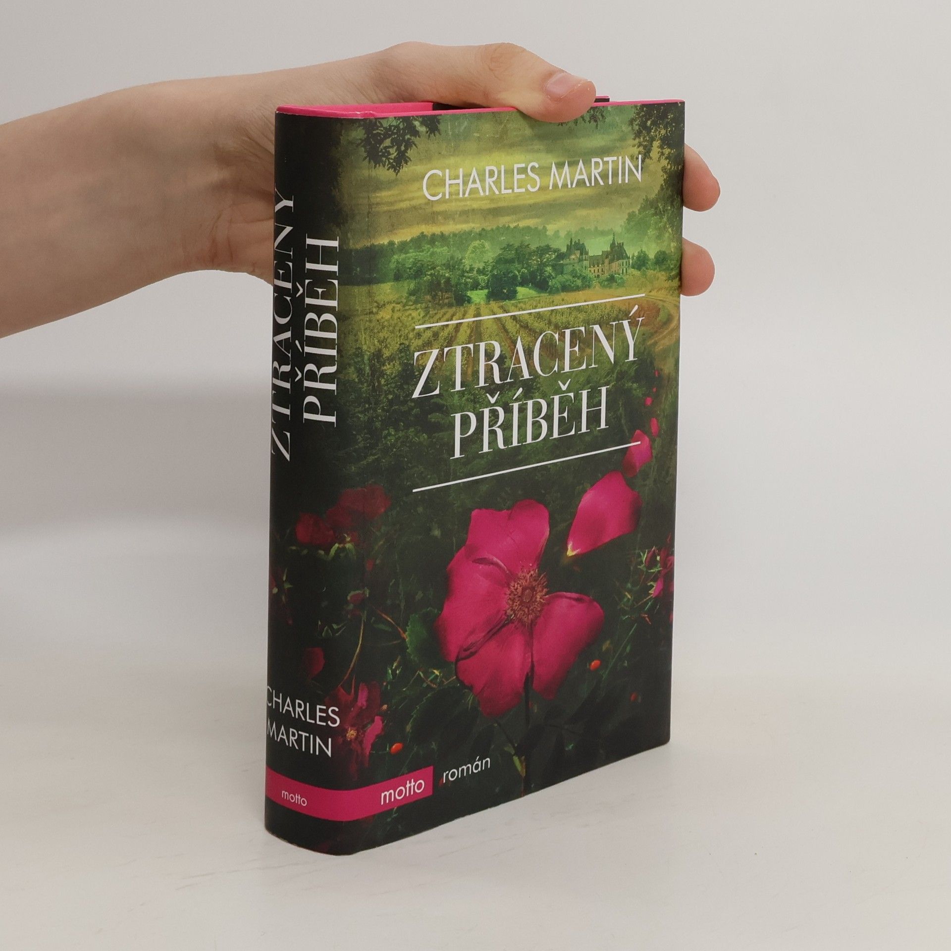Charles Martin Ztracený příběh