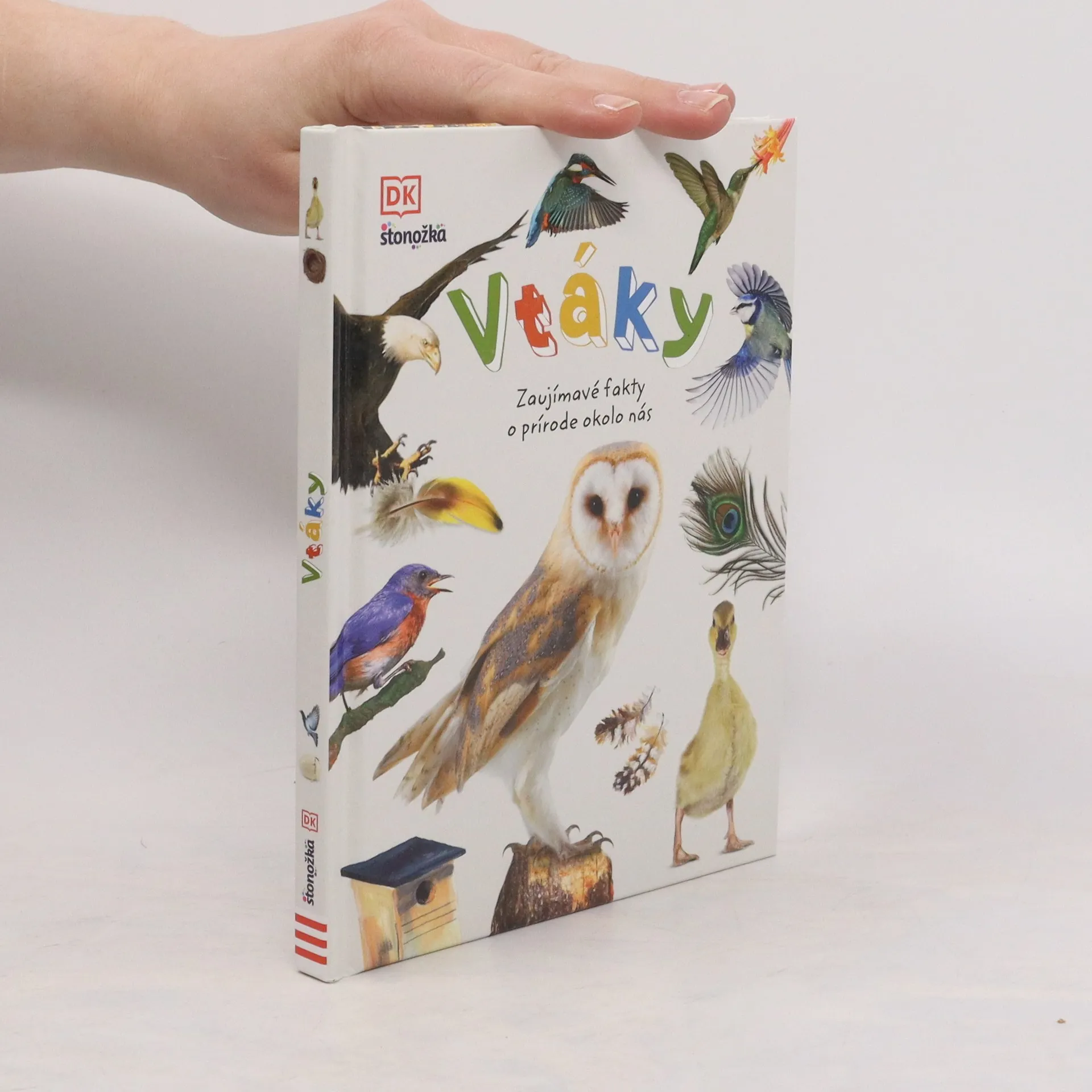 Vtáky | Kniha | pevná | neuveden