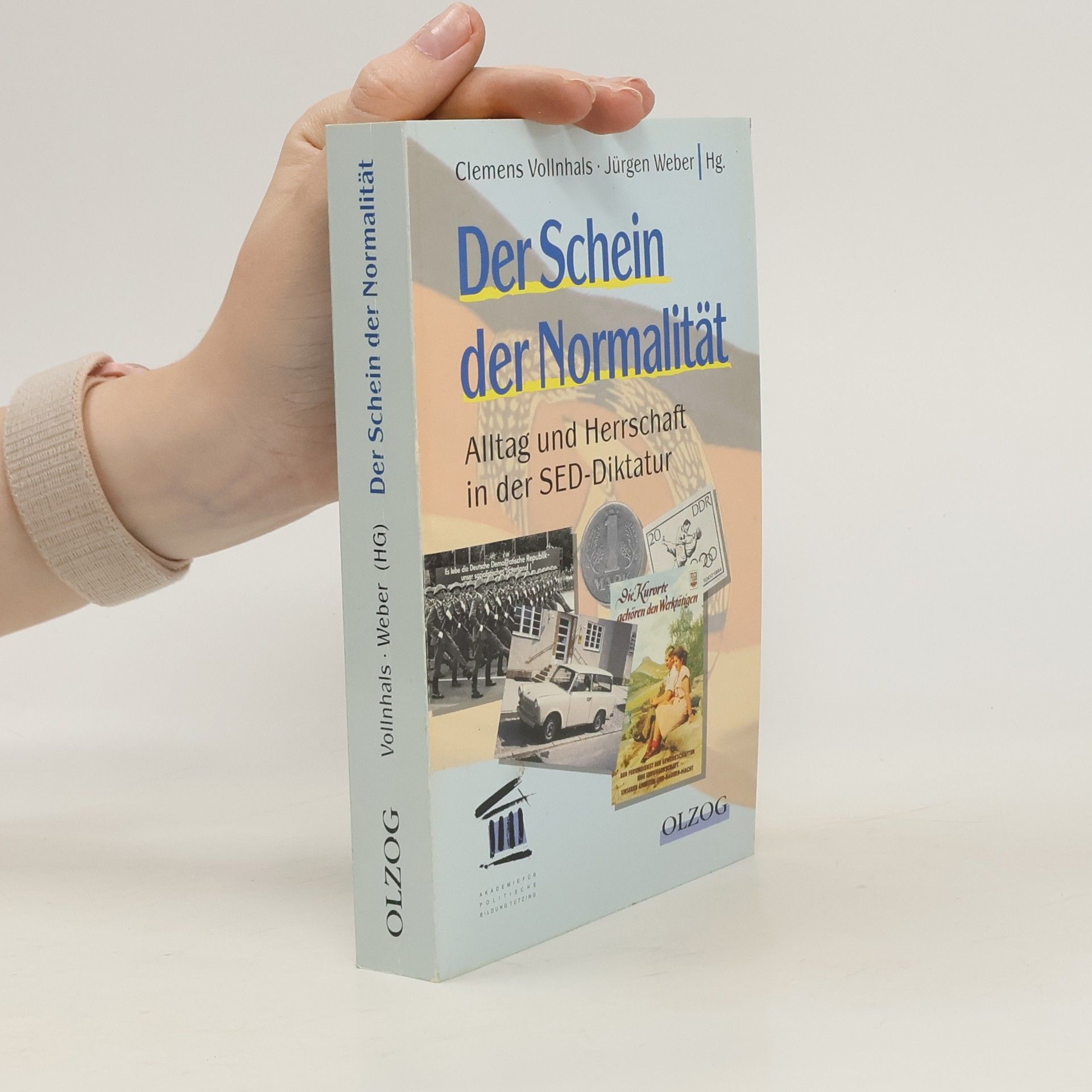 Clemens Vollnhals Der Schein der Normalität