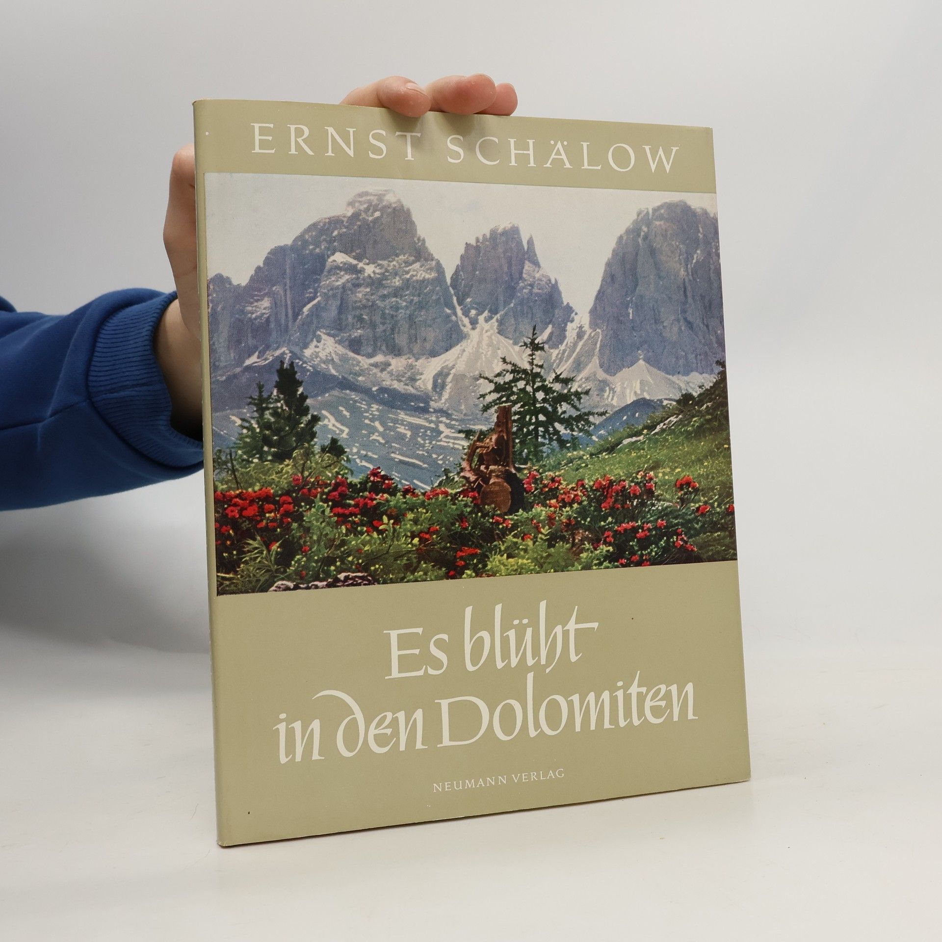 Ernst Schälow Es blüht in den Dolomiten