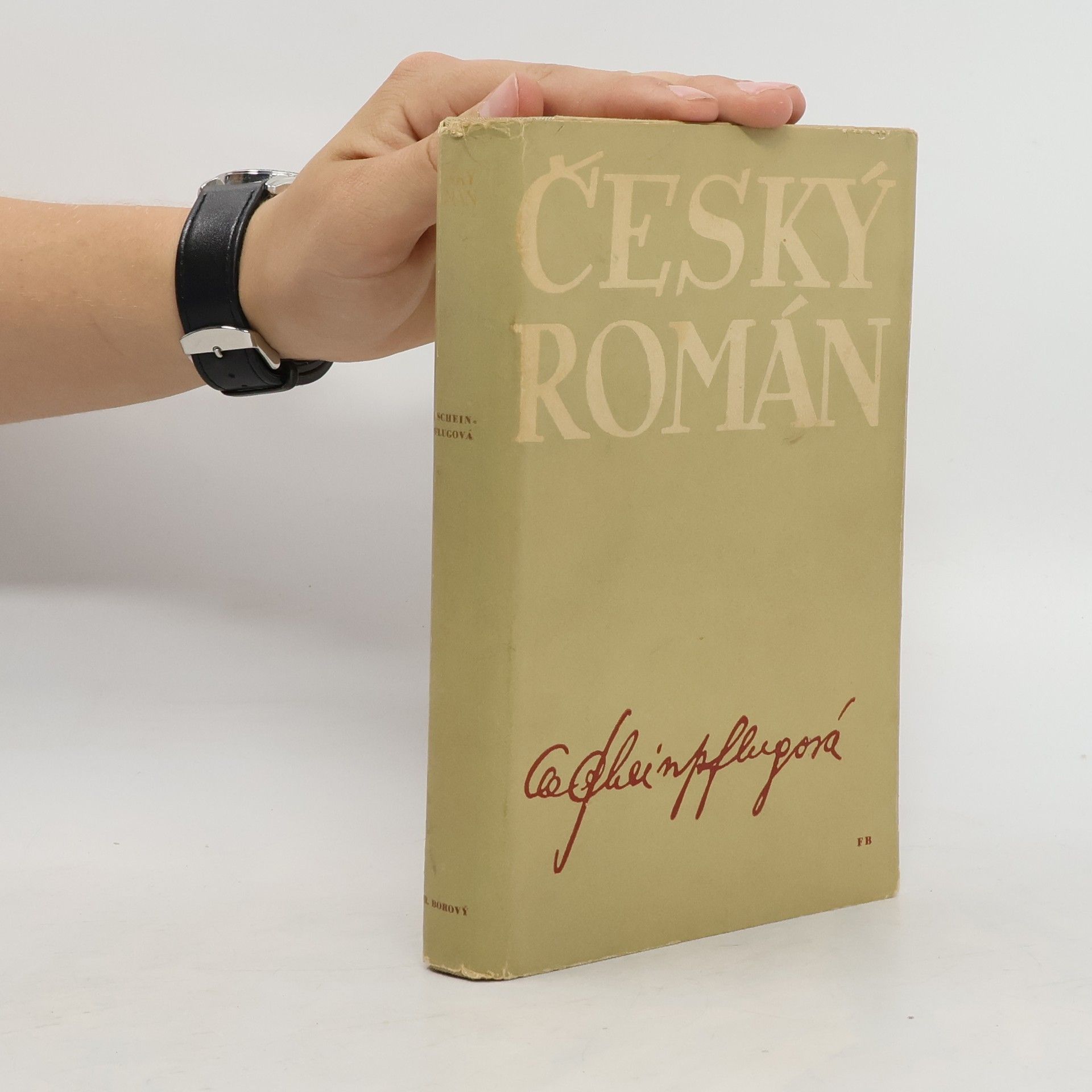 Olga Scheinpflugová Český román