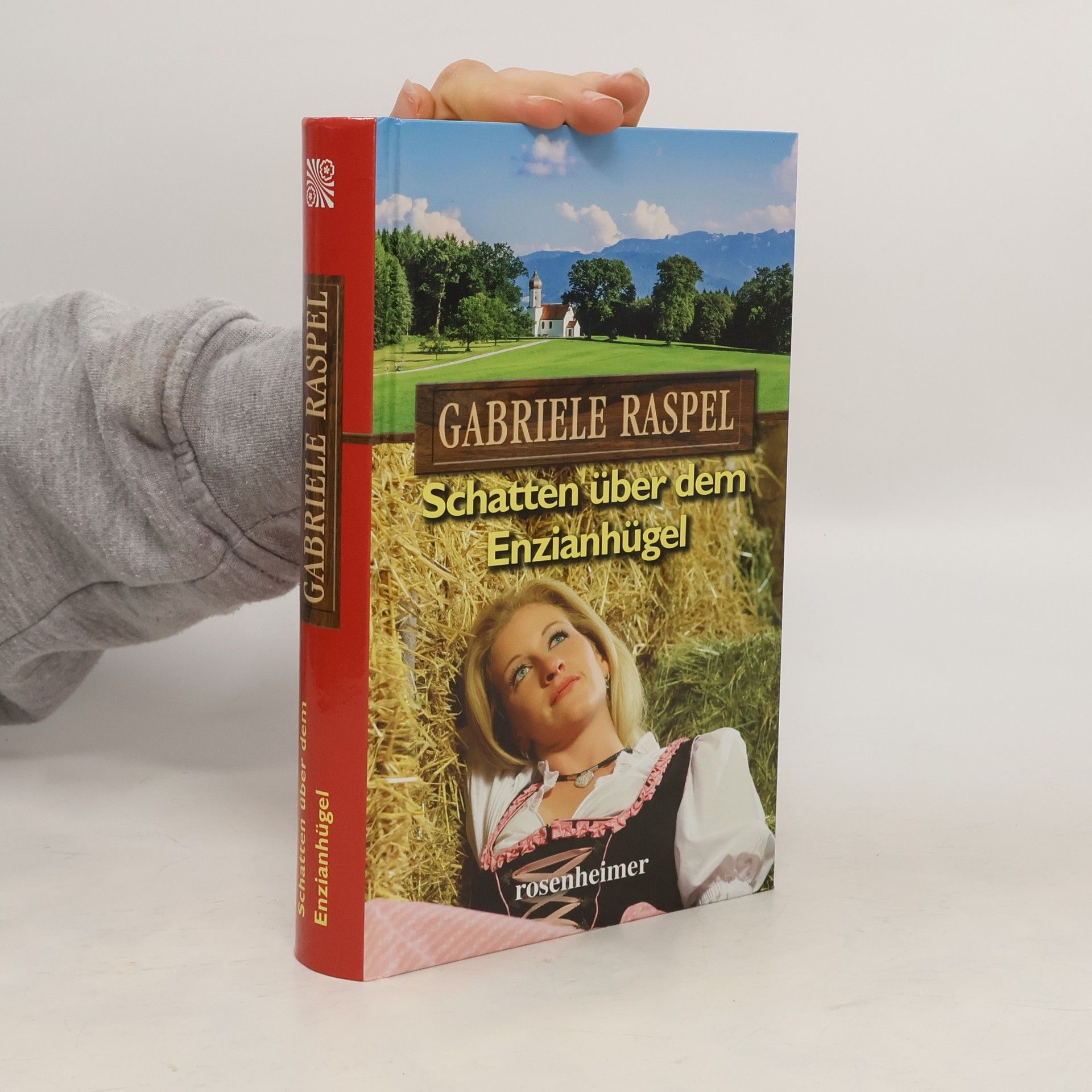 Gabriele Raspel Schatten über dem Enzianhügel