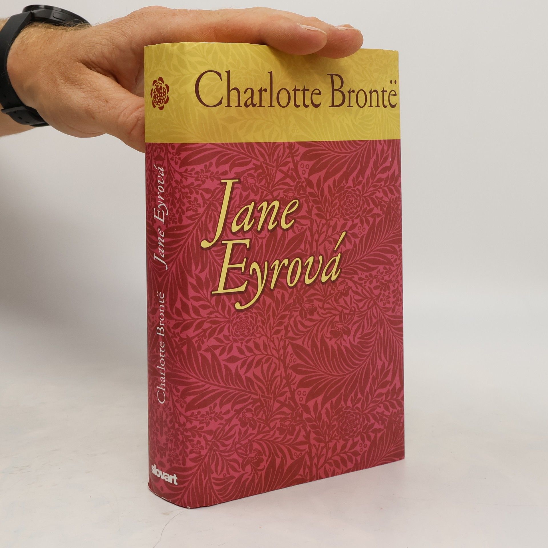 Charlotte Brontëová Jane Eyrová