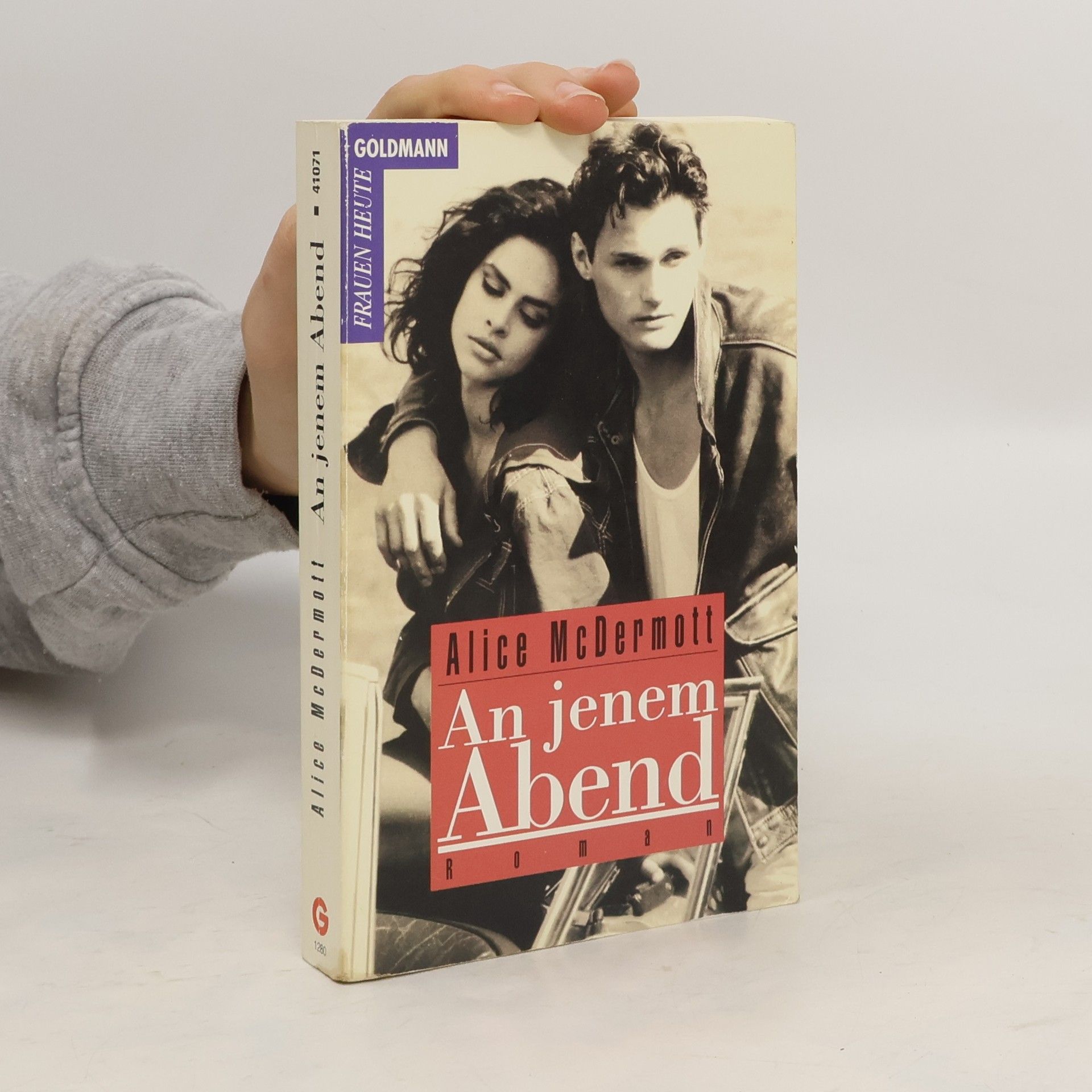 Alice McDermott An jenem Abend