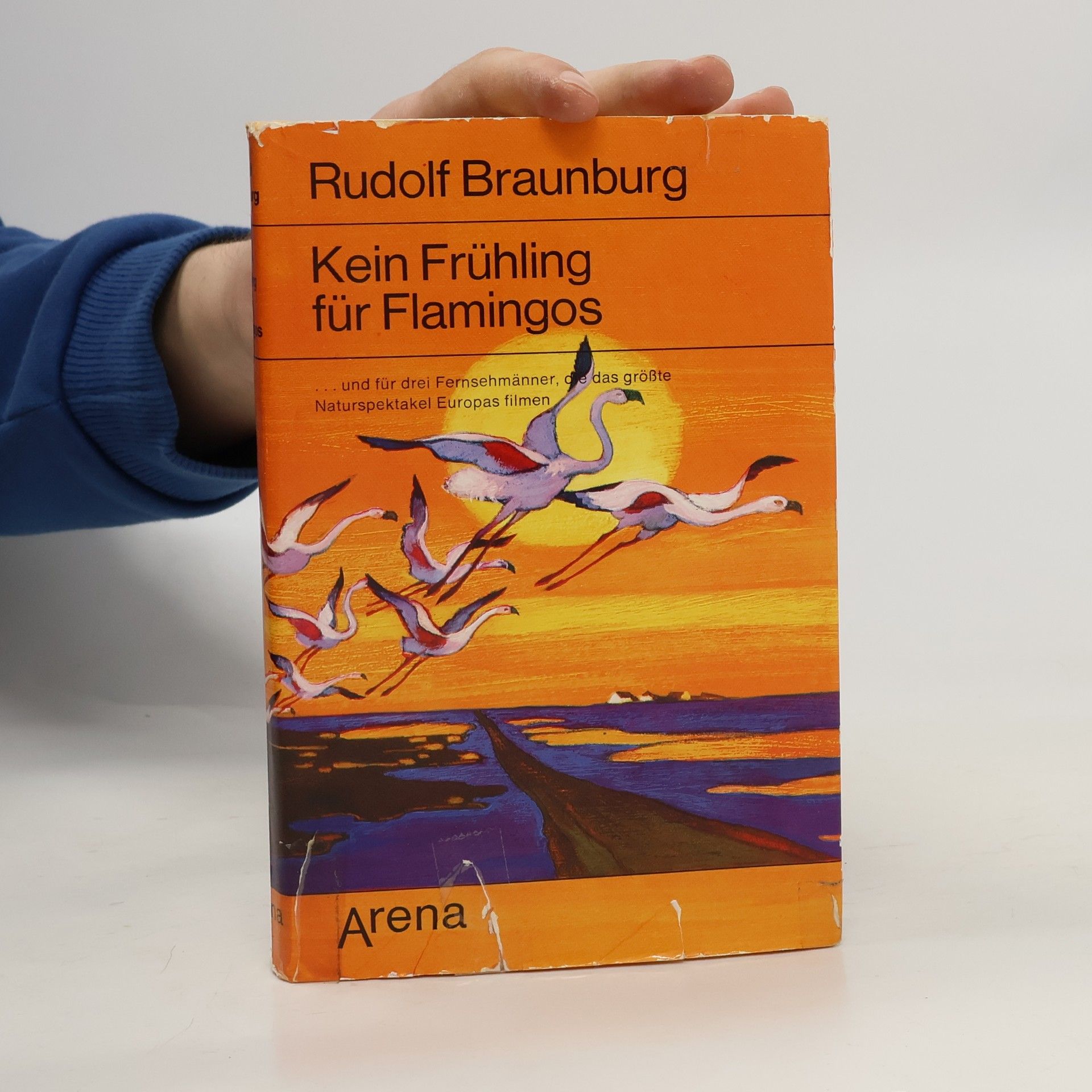 Rudolf Braunburg Kein Frühling für Flamingos ... und für drei Fernsehmänner, die das grösste Naturspektakel Europas filmen