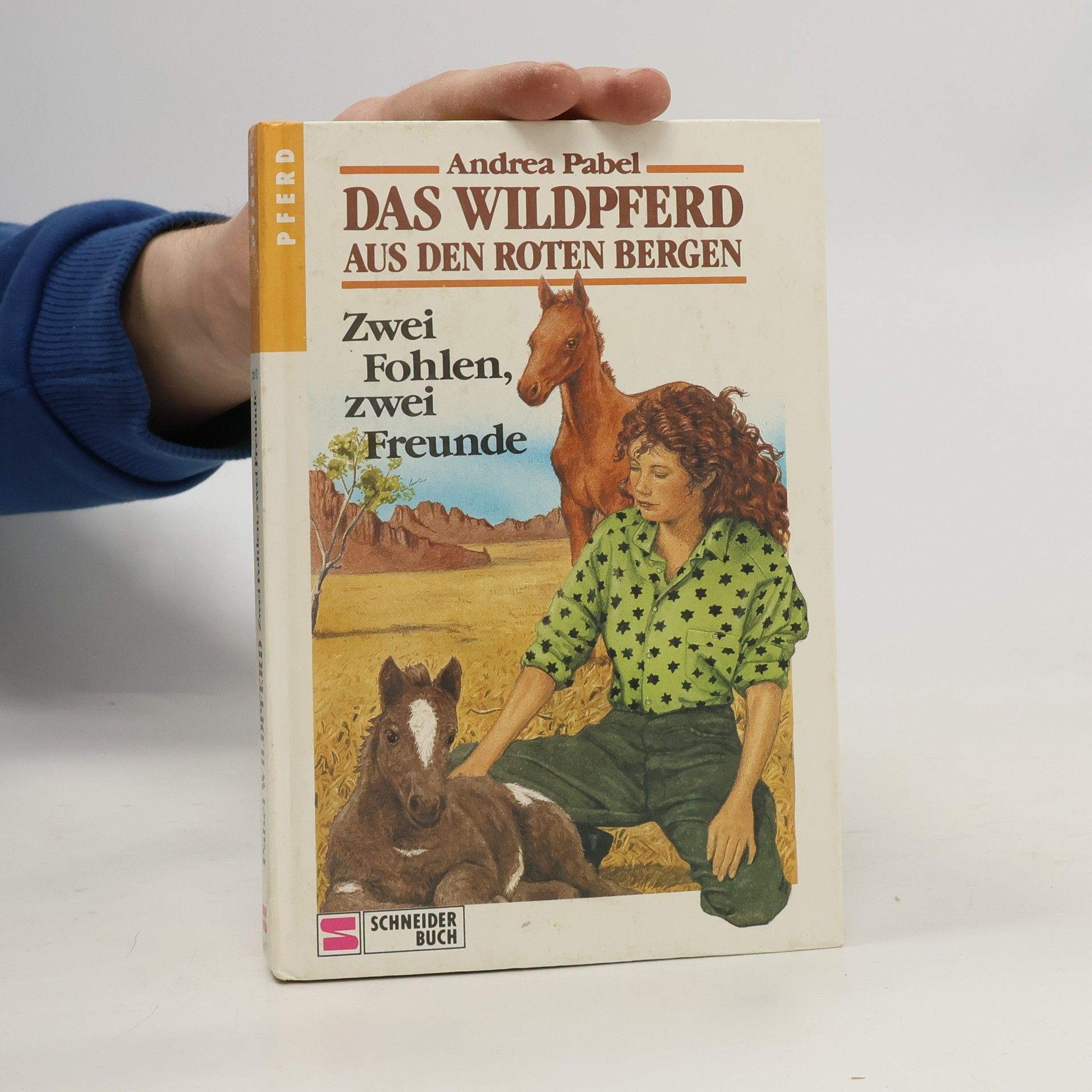 Andrea Pabel Das Wildpferd aus den roten Bergen