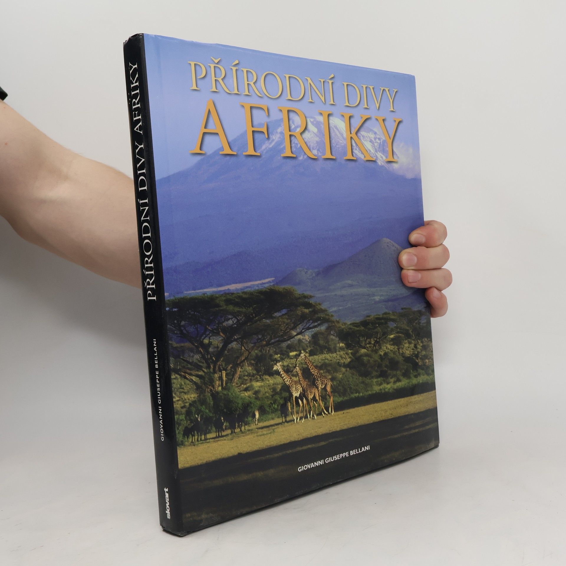 Giovanni Giuseppe Bellani Přírodní divy Afriky