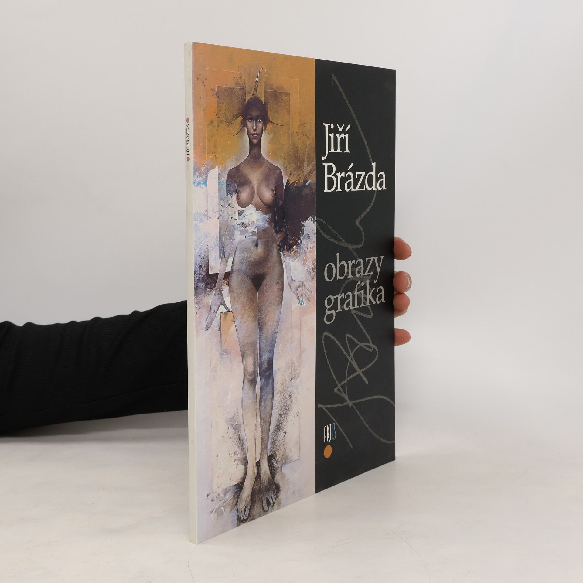 Autorenkollektiv Jiří Brázda - Obrazy, grafika
