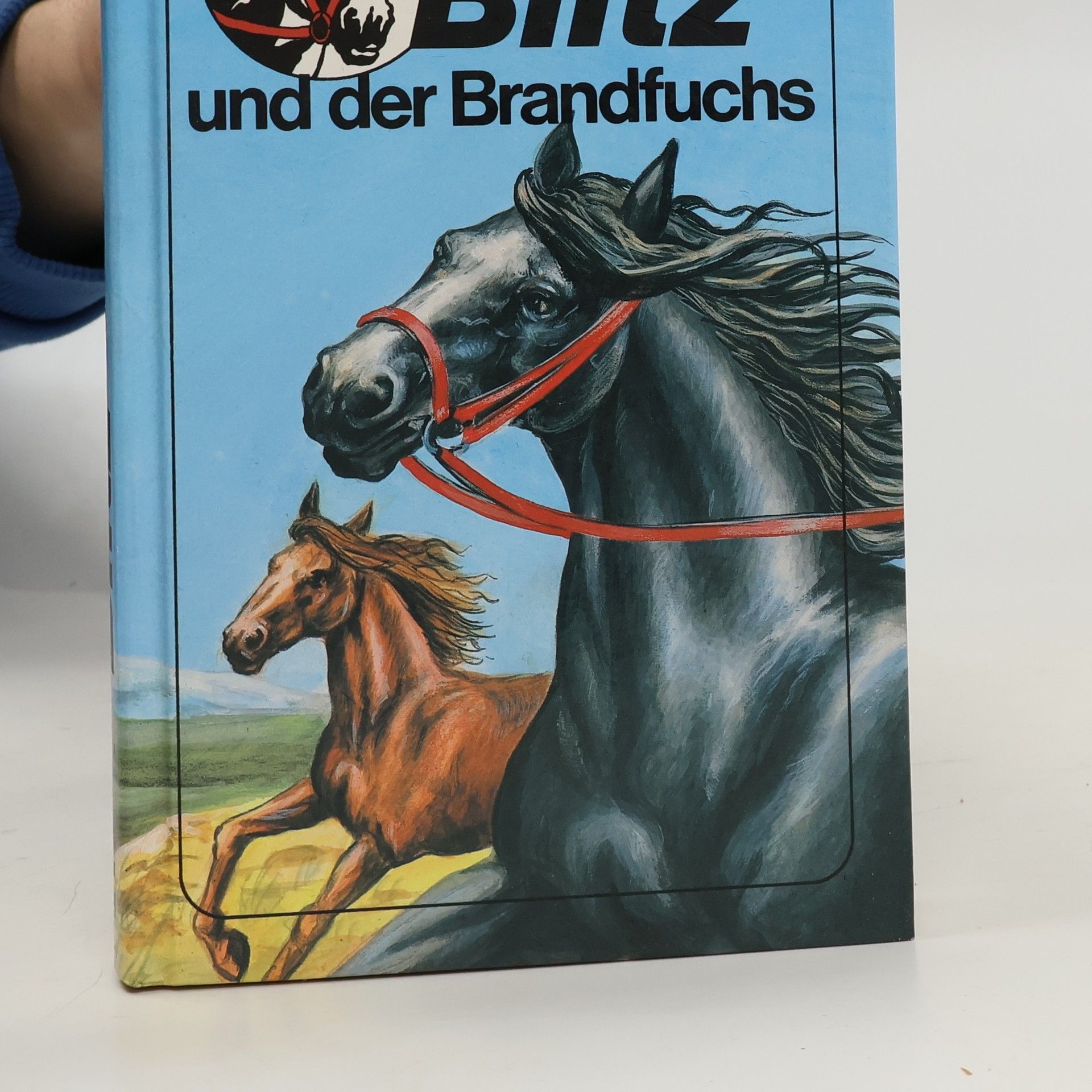 Walter Farley Blitz und der Brandfuchs