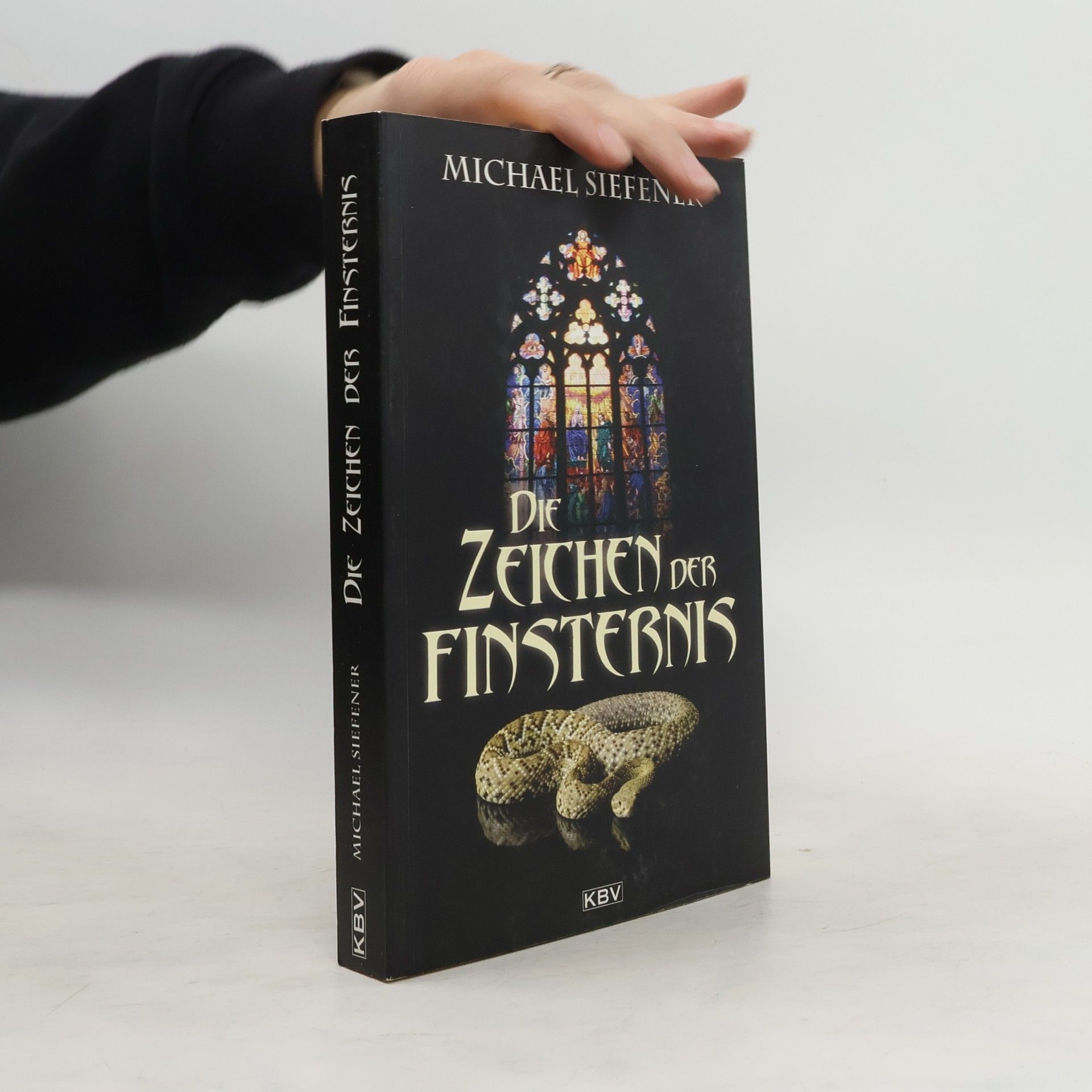 Michael Siefener Die Zeichen der Finsternis. Phantastischer Thriller