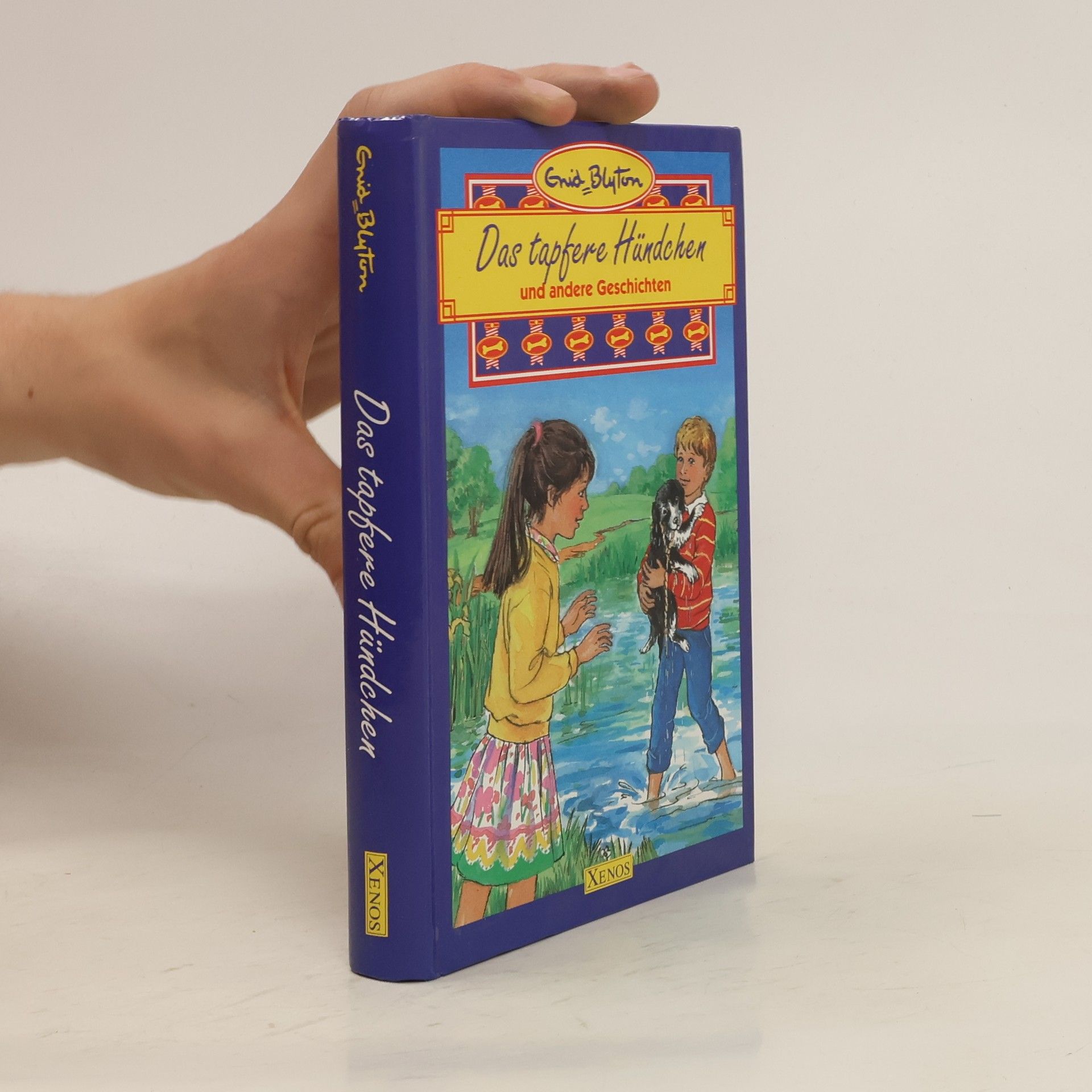 Enid Blyton Das tapfere Hündchen