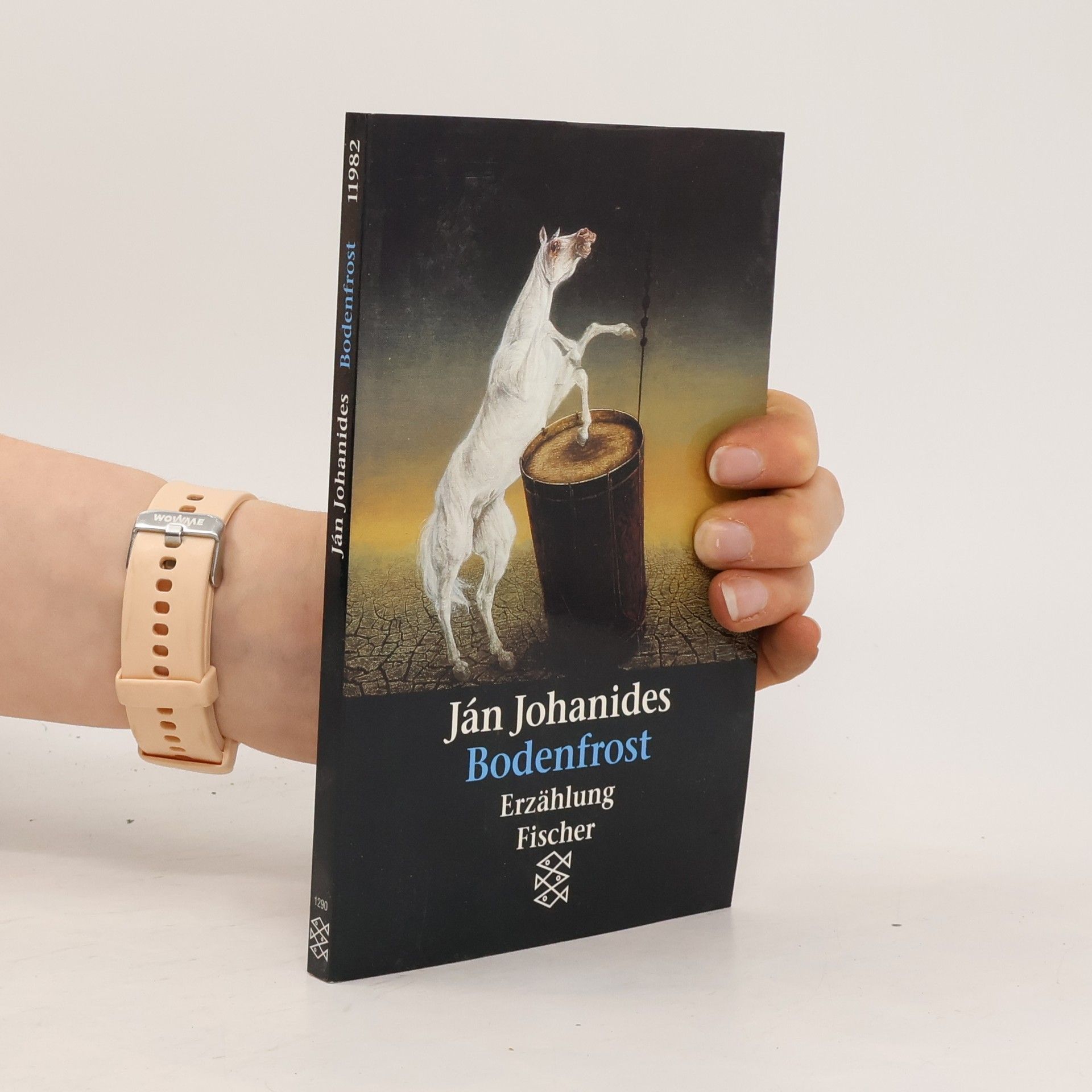 Ján Johanides Bodenfrost