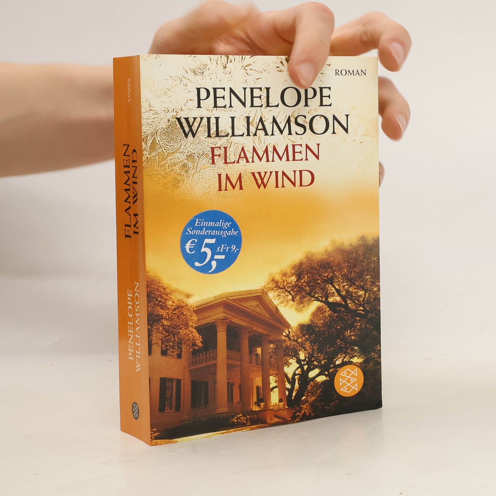 Penelope Williamson Flammen im Wind