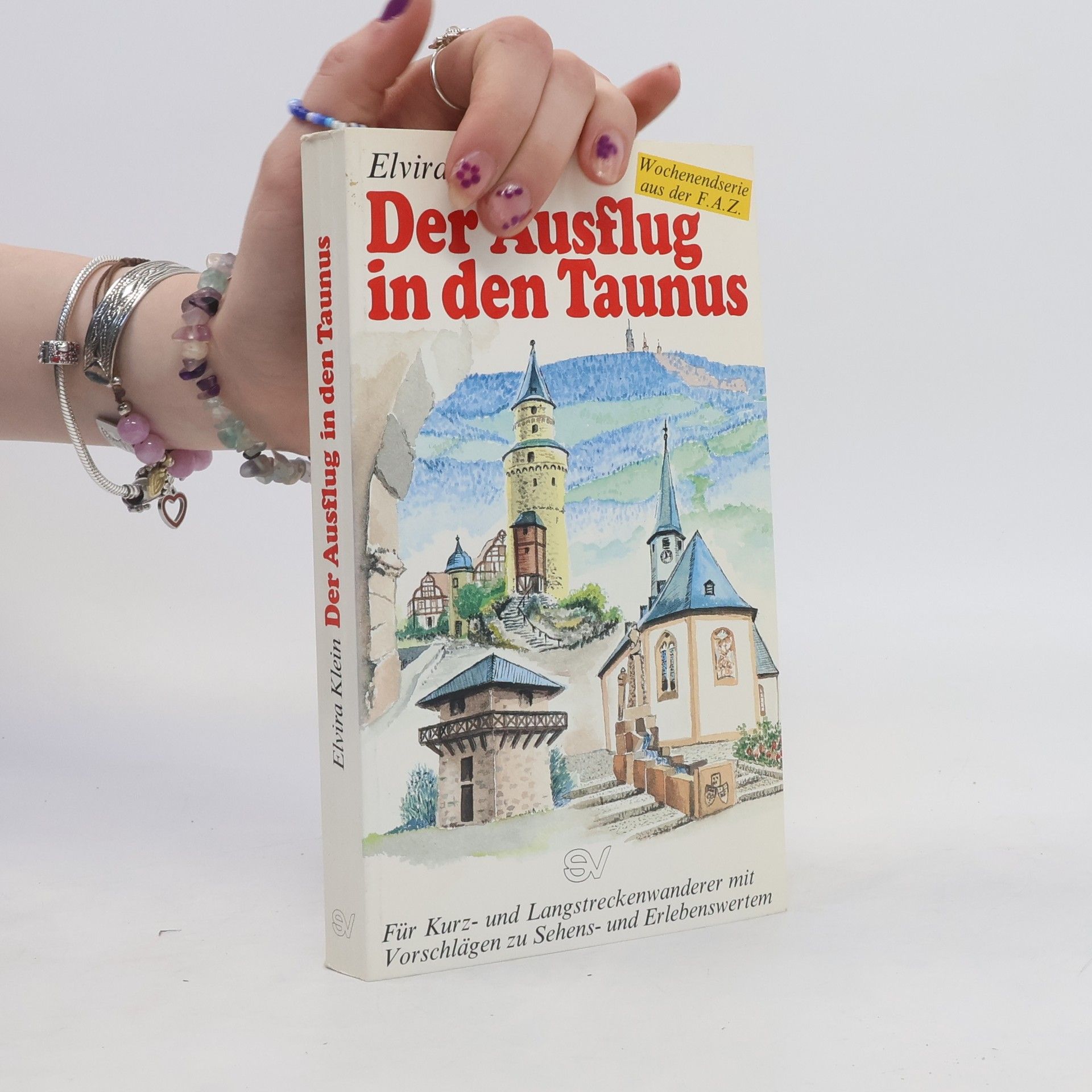 Elvira Klein Der Ausflug in den Taunus