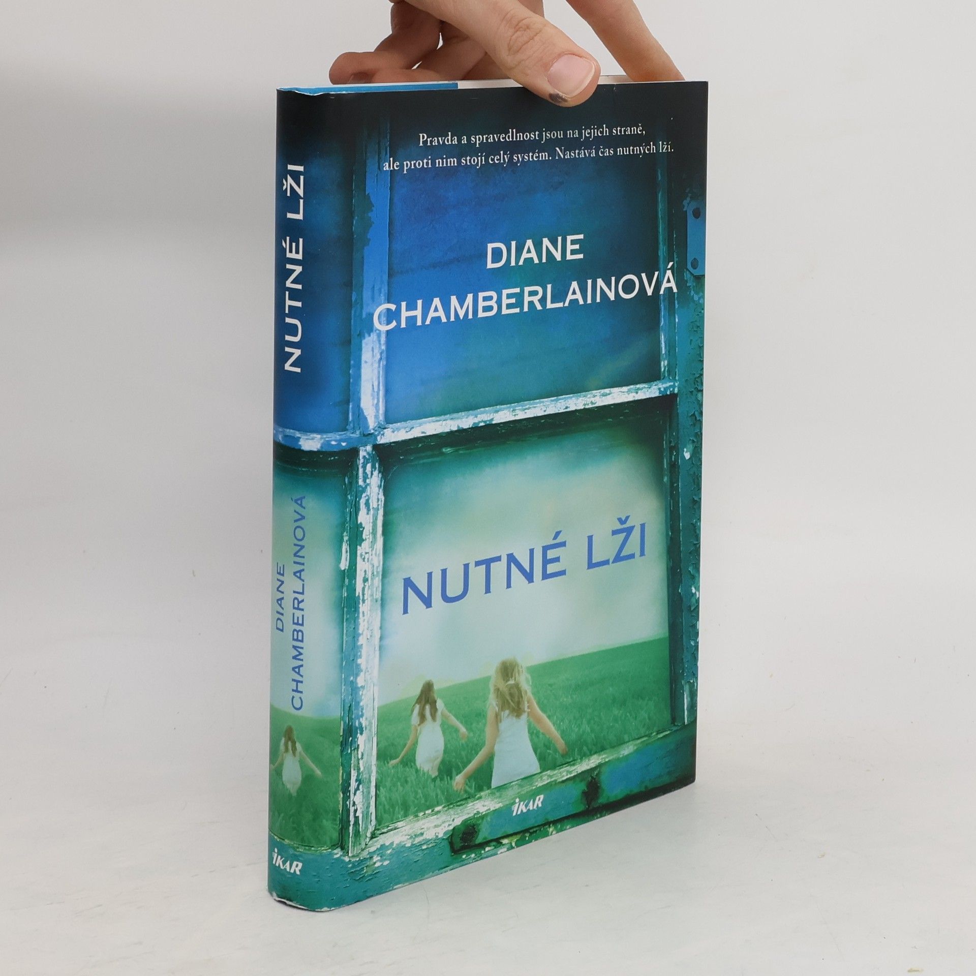Diane Chamberlain Nutné lži