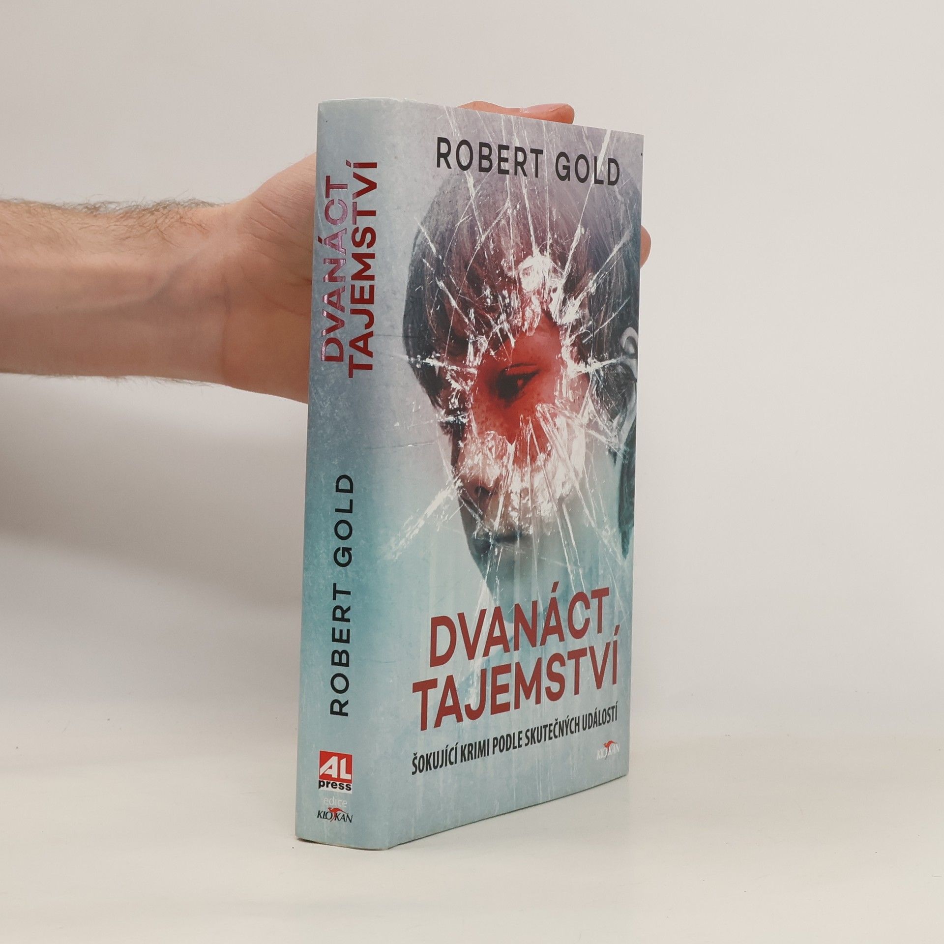 Robert Gold Dvanáct tajemství