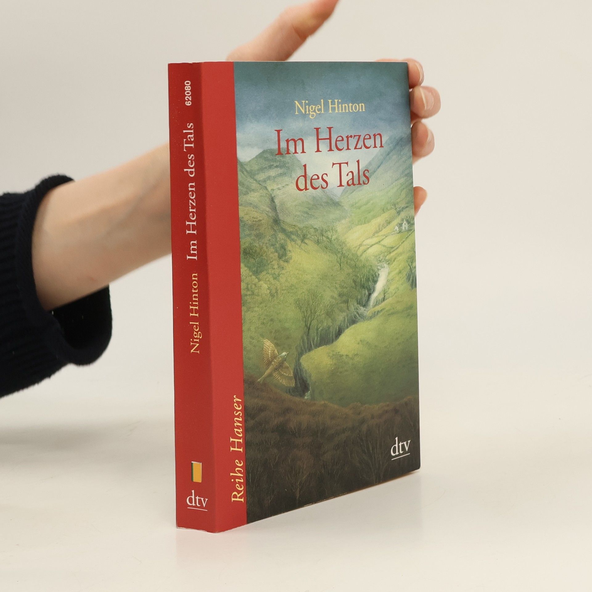 Nigel Hinton Im Herzen des Tals