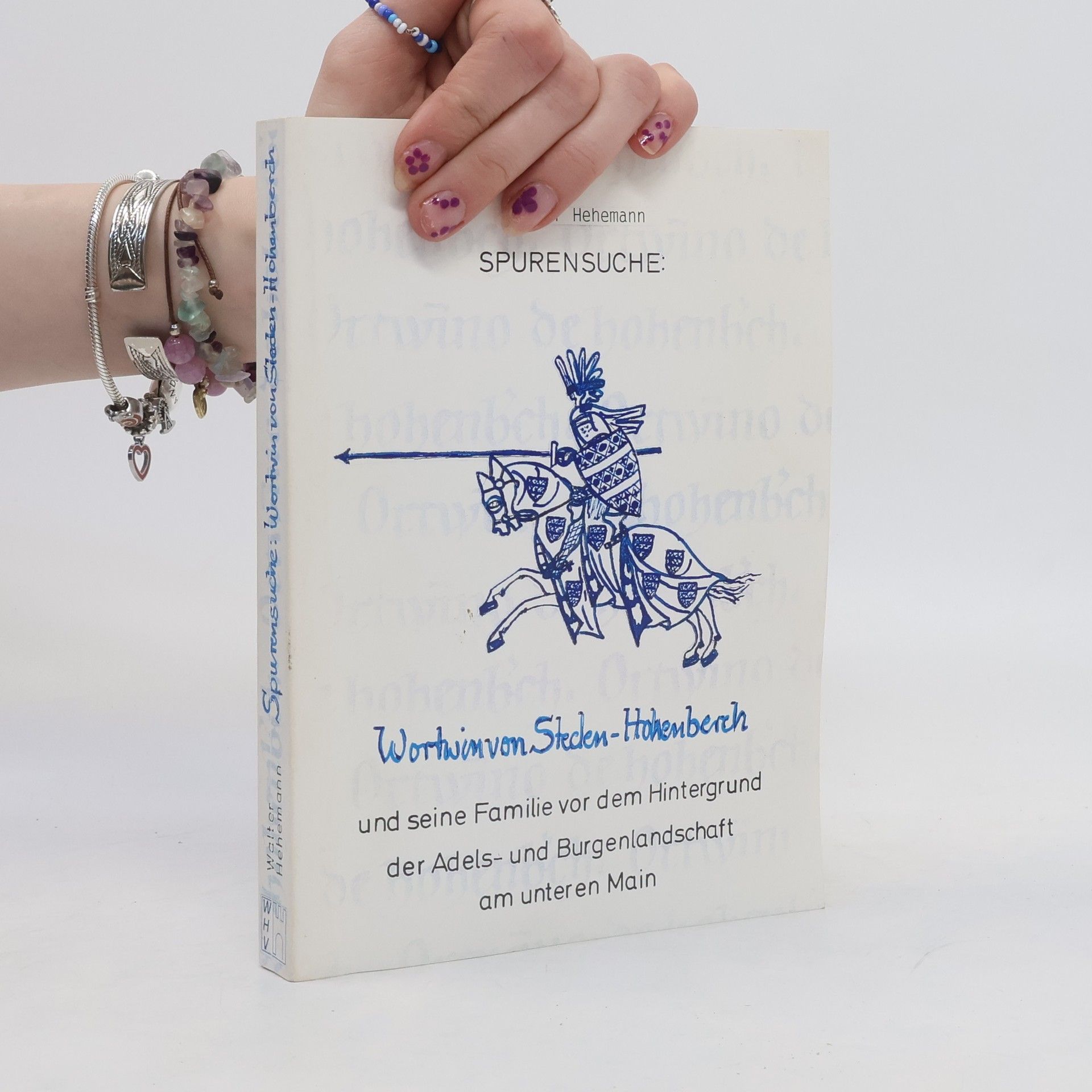 Walter Hehemann Spurensuche: Wortwin von Steden-Hohenberch und seine Familie vor dem Hintergrund der Adels- und Burgenlandschaft am unteren Main