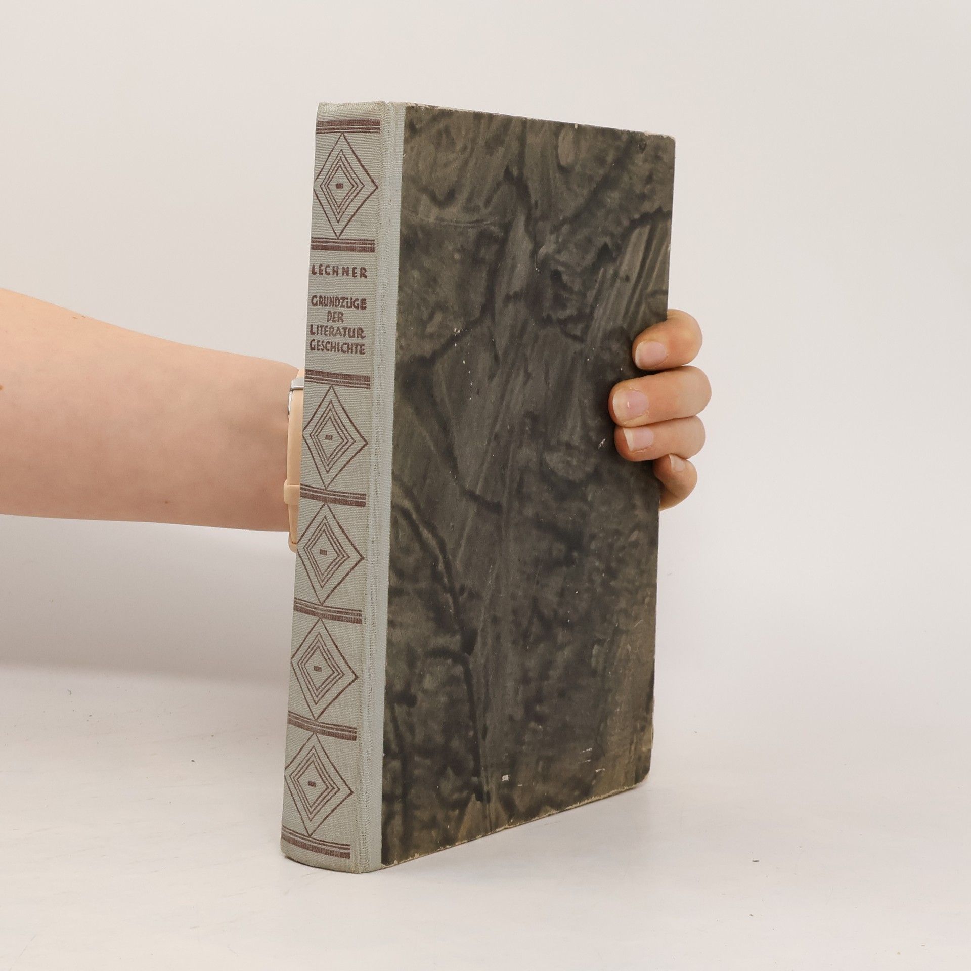 Hermann Lechner Grundzüge der Literaturgeschichte