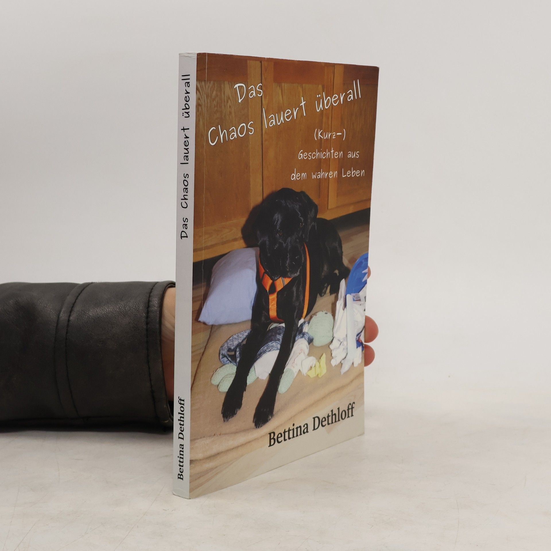 Autorenkollektiv Qualitätsmanagement und Professionalisierung in der Erwachsenenbildung