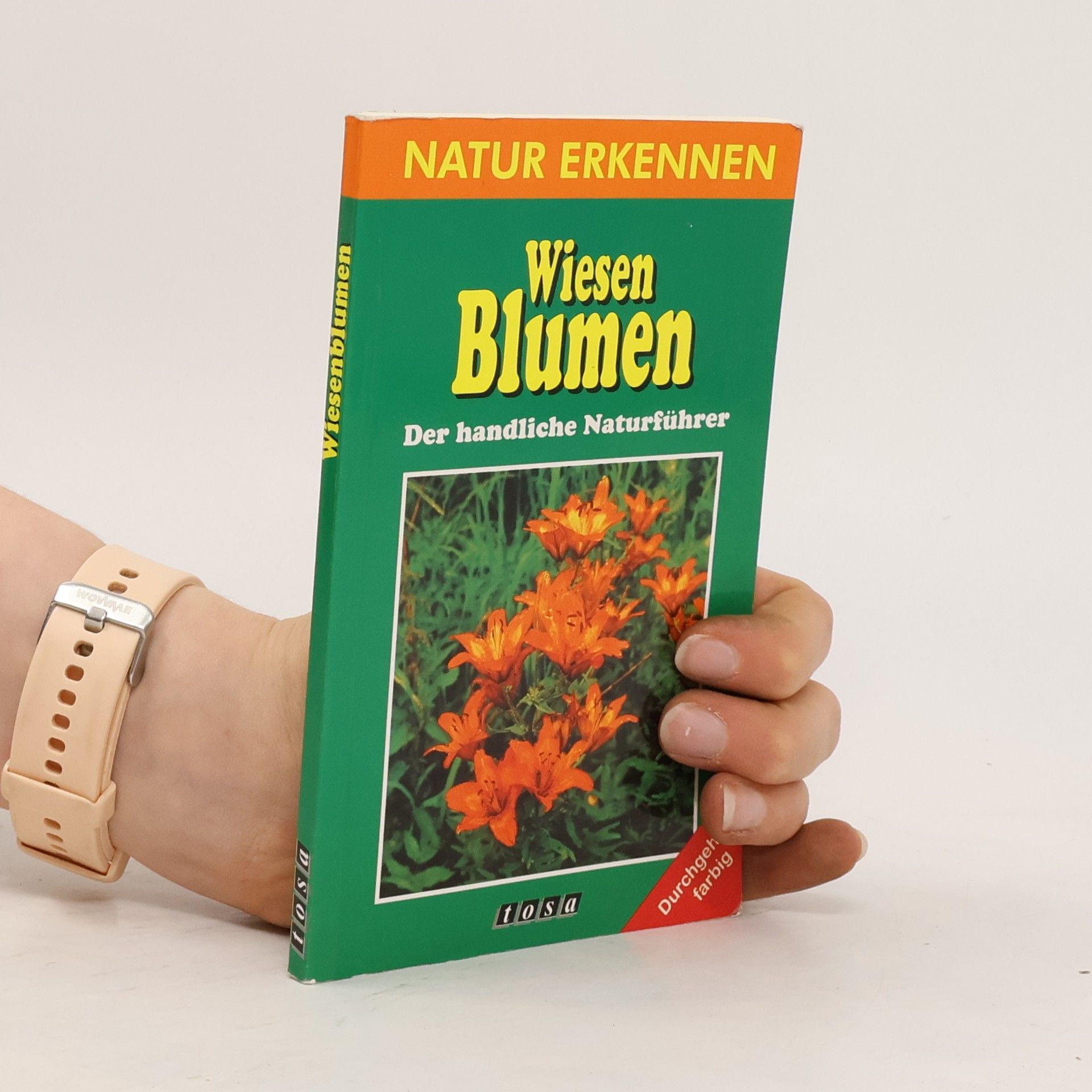 Collectif d'auteurs Wiesenblumen