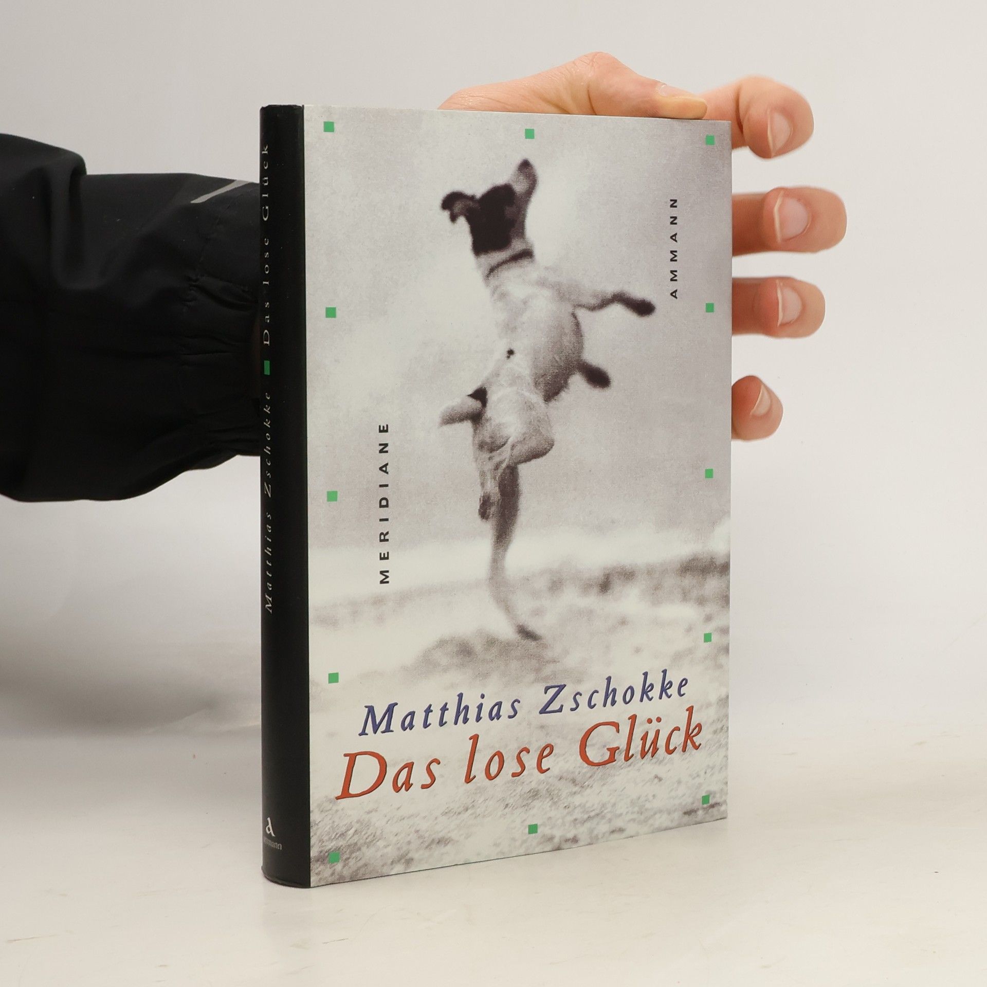 Matthias Zschokke Das lose Glück