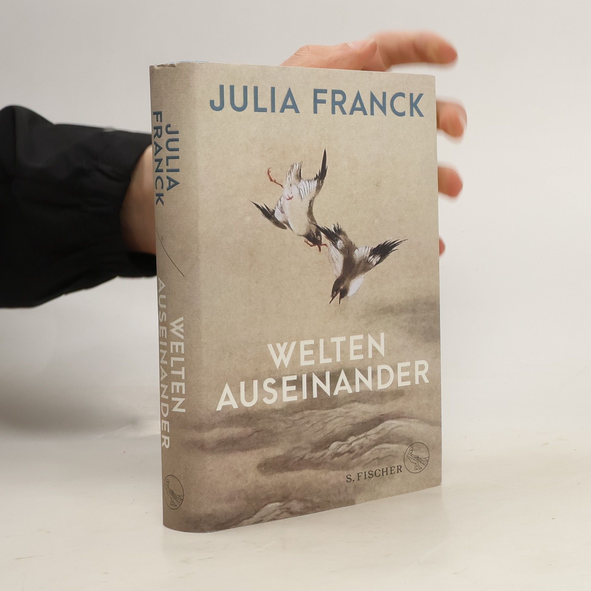 Julia Franck Welten auseinander