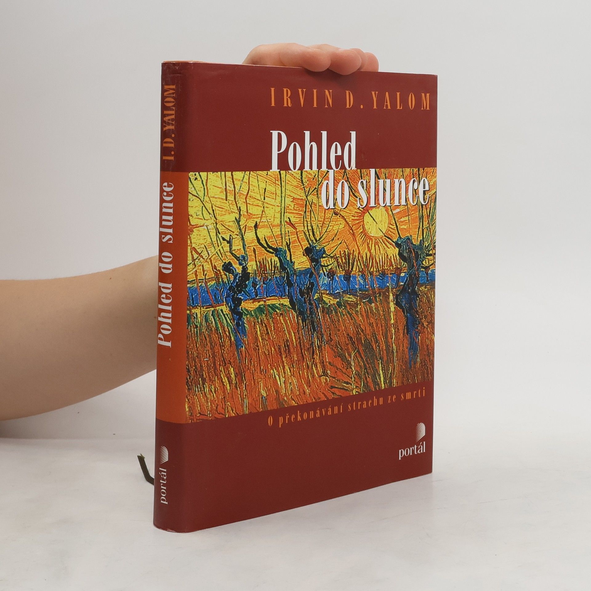 Irvin Yalom Pohled do slunce