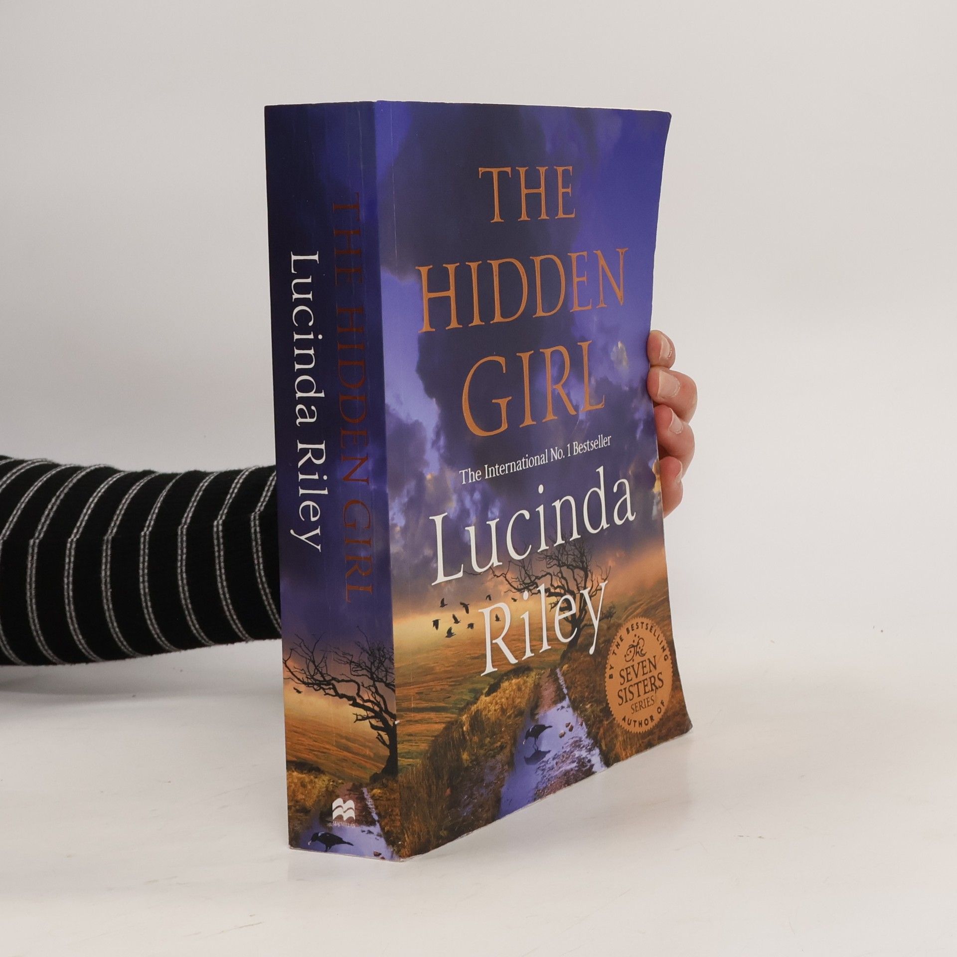 Harry Whittaker The Hidden Girl