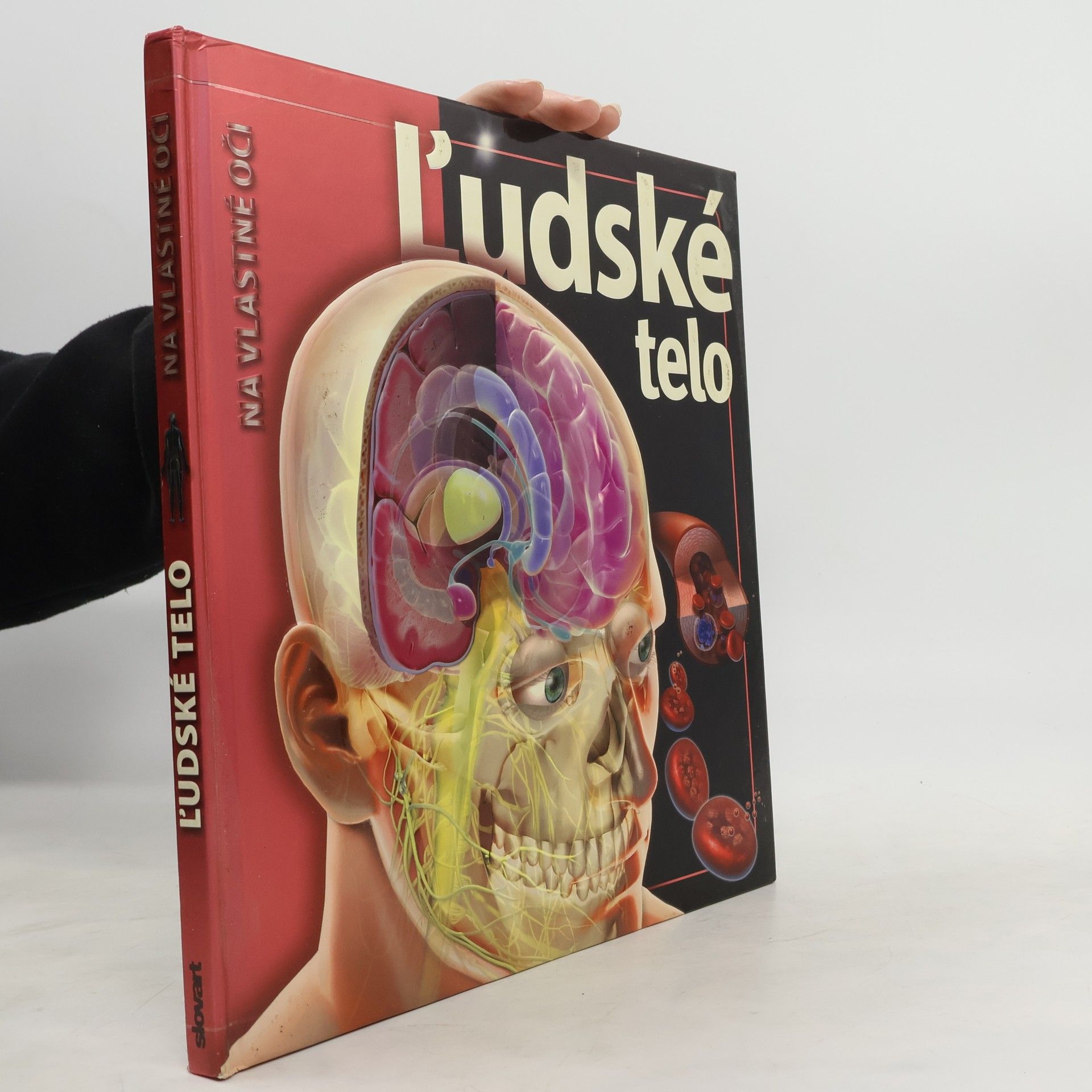 Linda Calabresi Ľudské telo