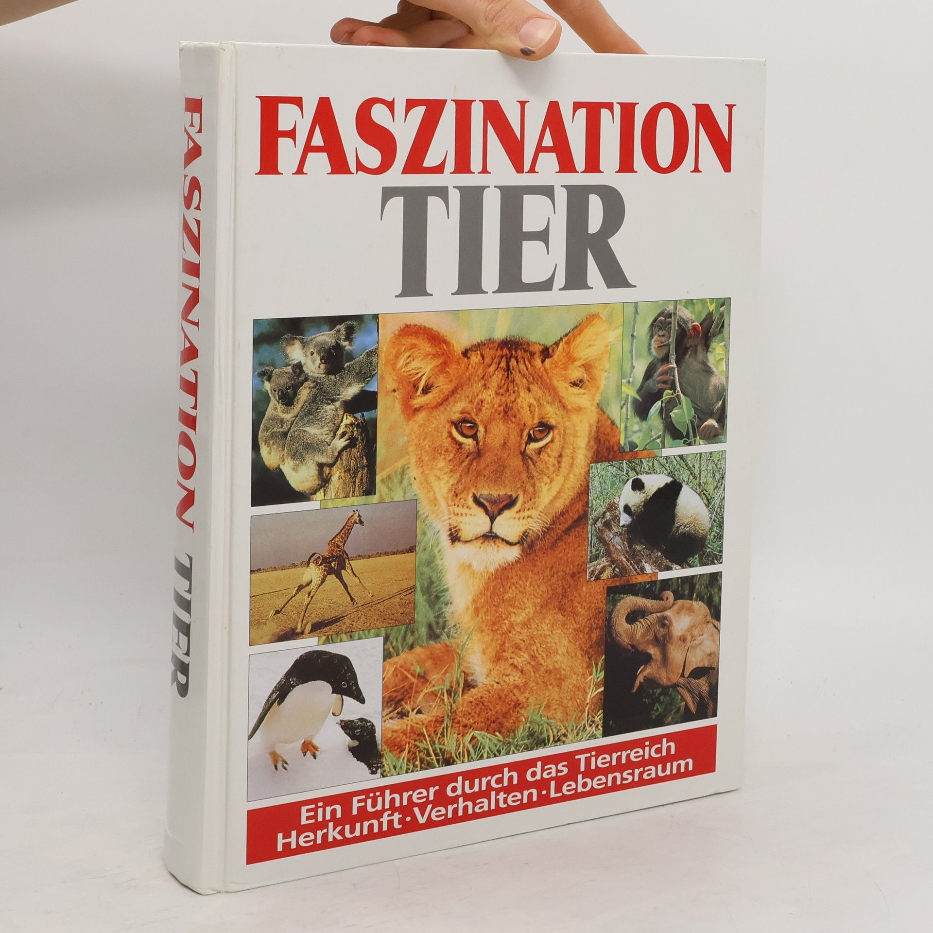 Autorenkollektiv Faszination Tier