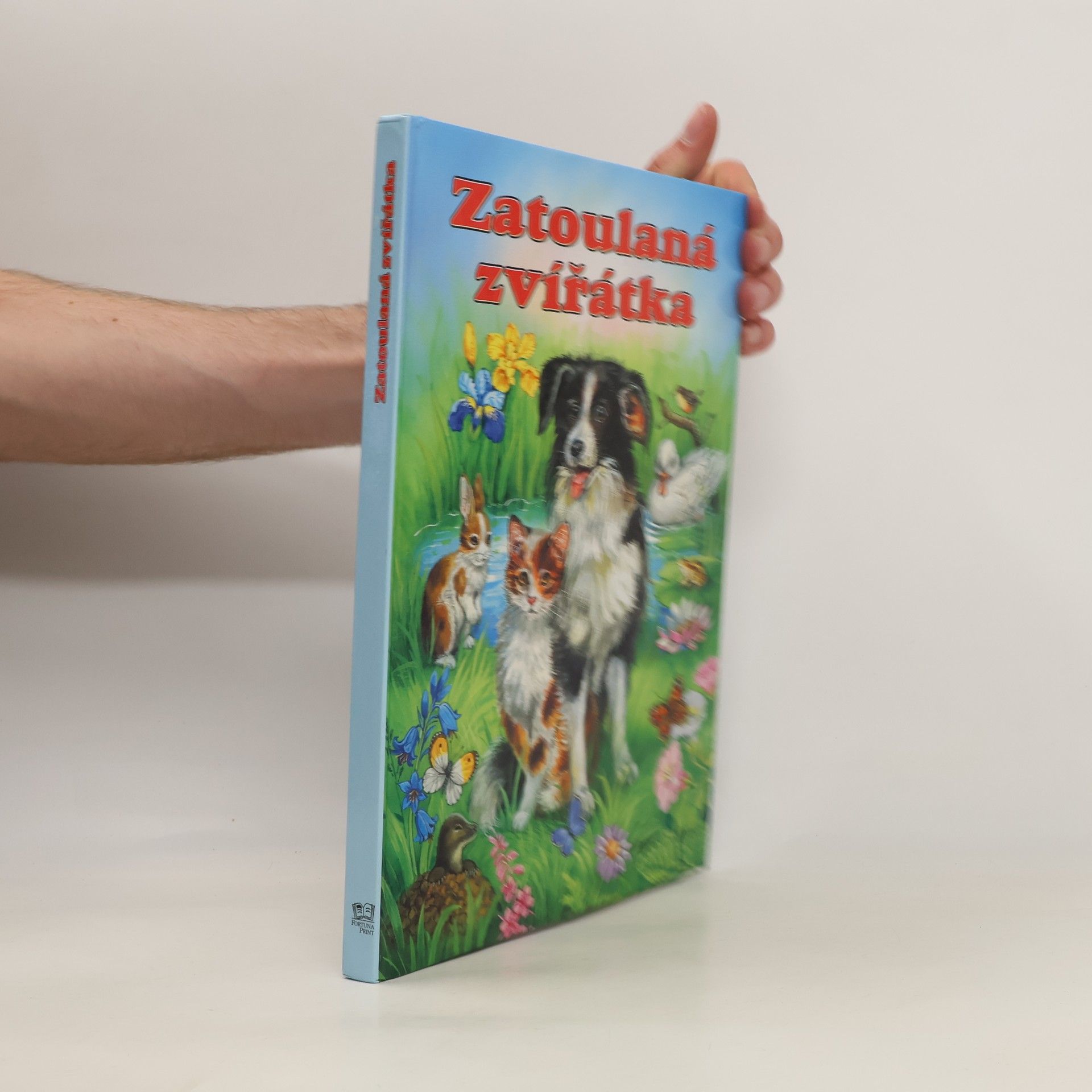 Katja Epes Zatoulaná zvířátka