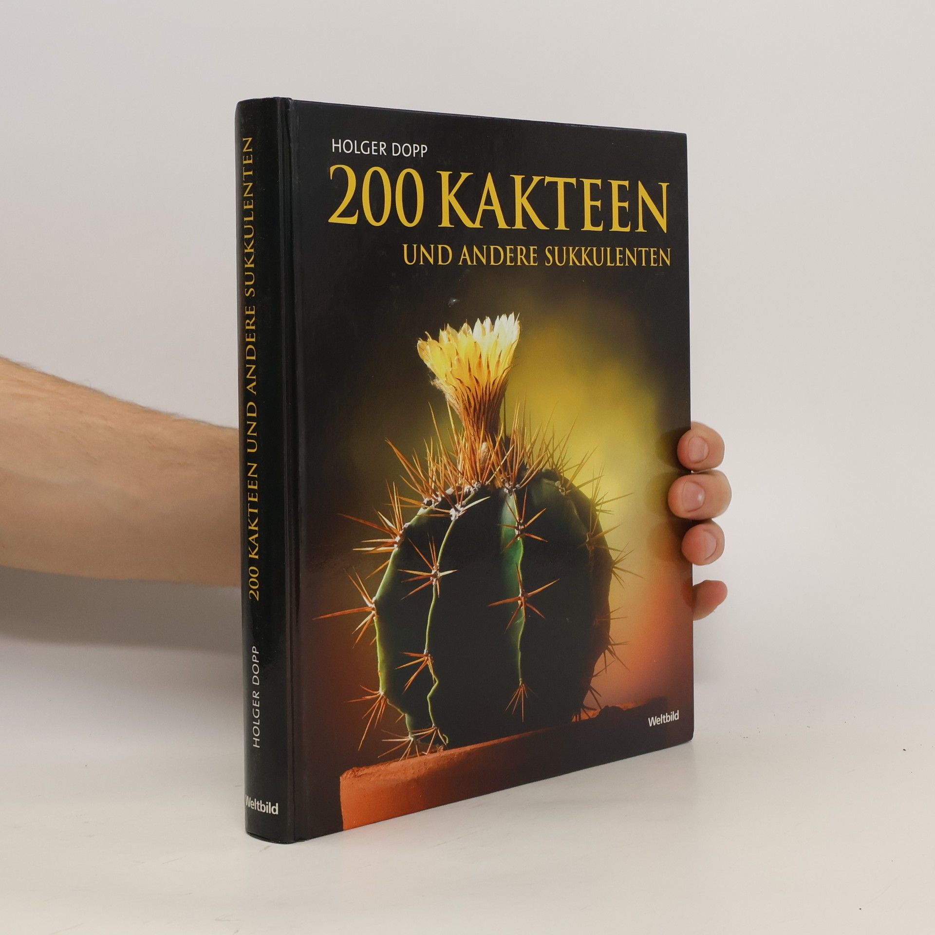 Holger Dopp 200 Kakteen und andere Sukkulenten