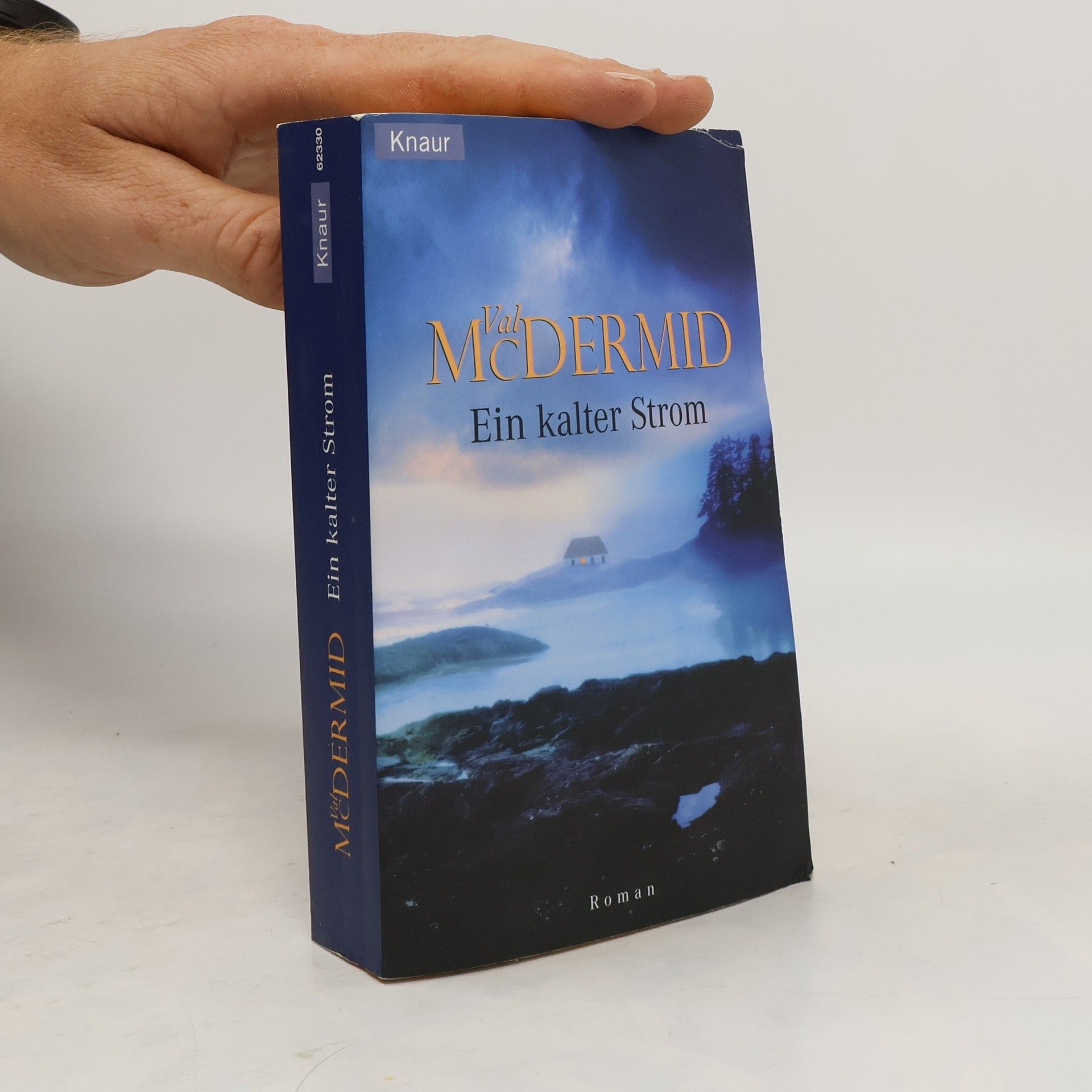 Val McDermid Ein kalter Strom
