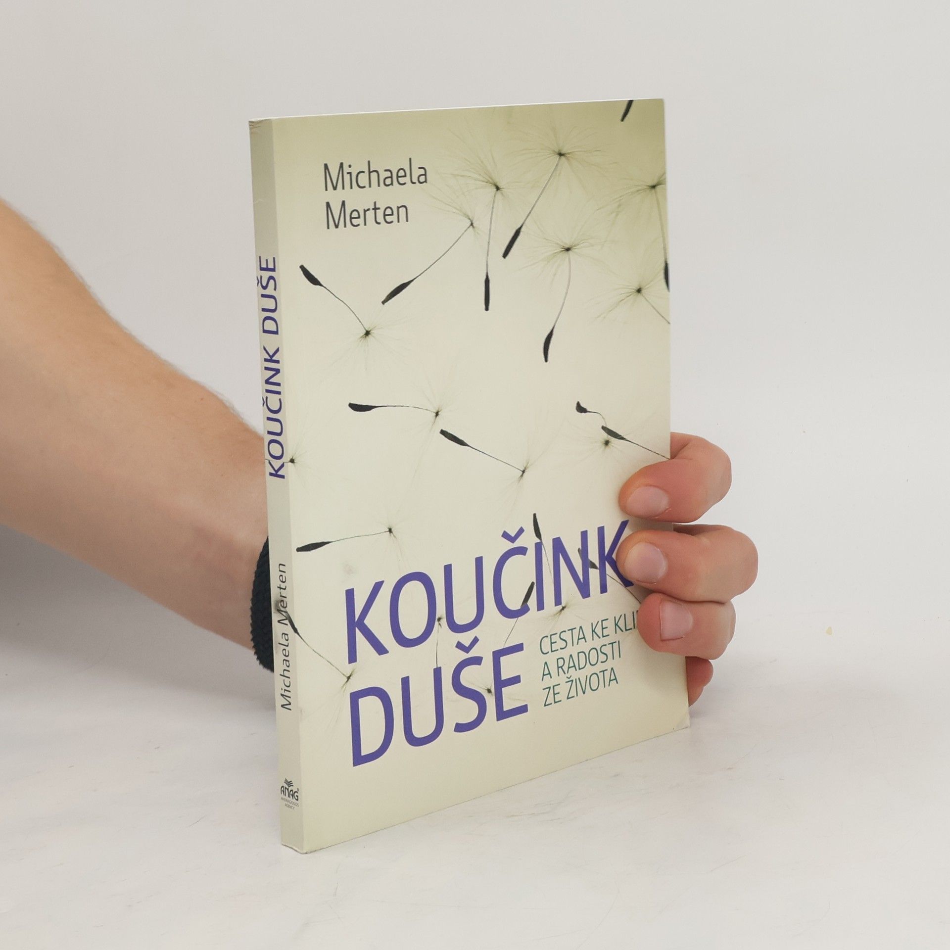 Michaela Merten Koučink duše : cesta ke klidu a radosti ze života