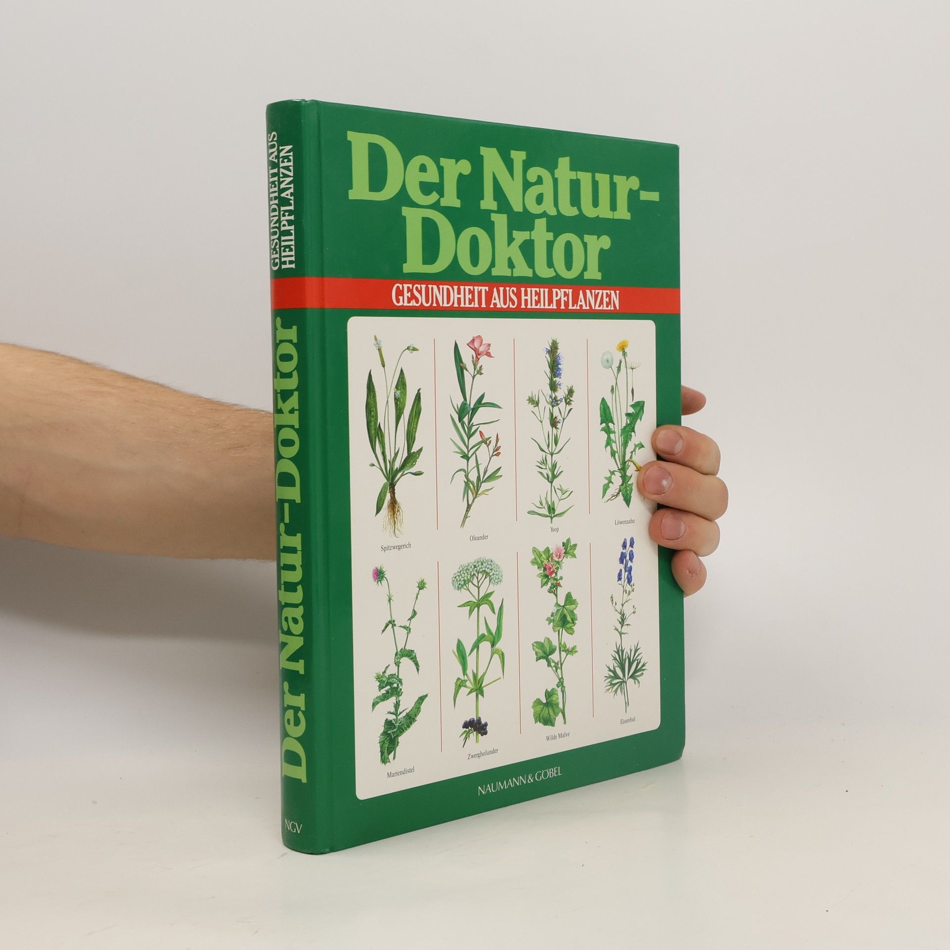Jürgen Saupe Der Naturdoktor