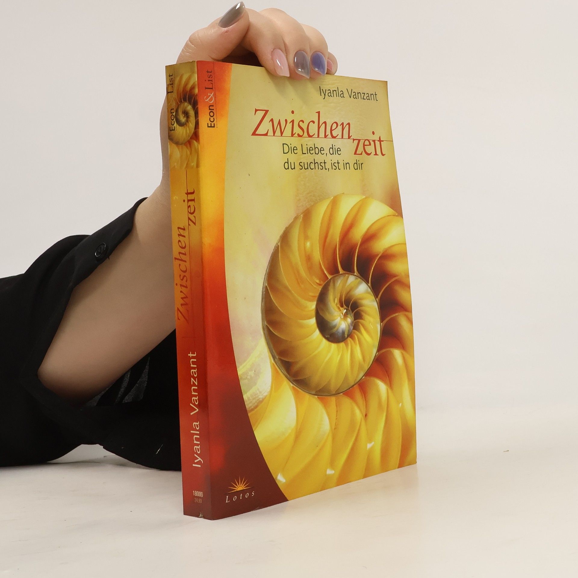 Iyanla Vanzant Zwischenzeit