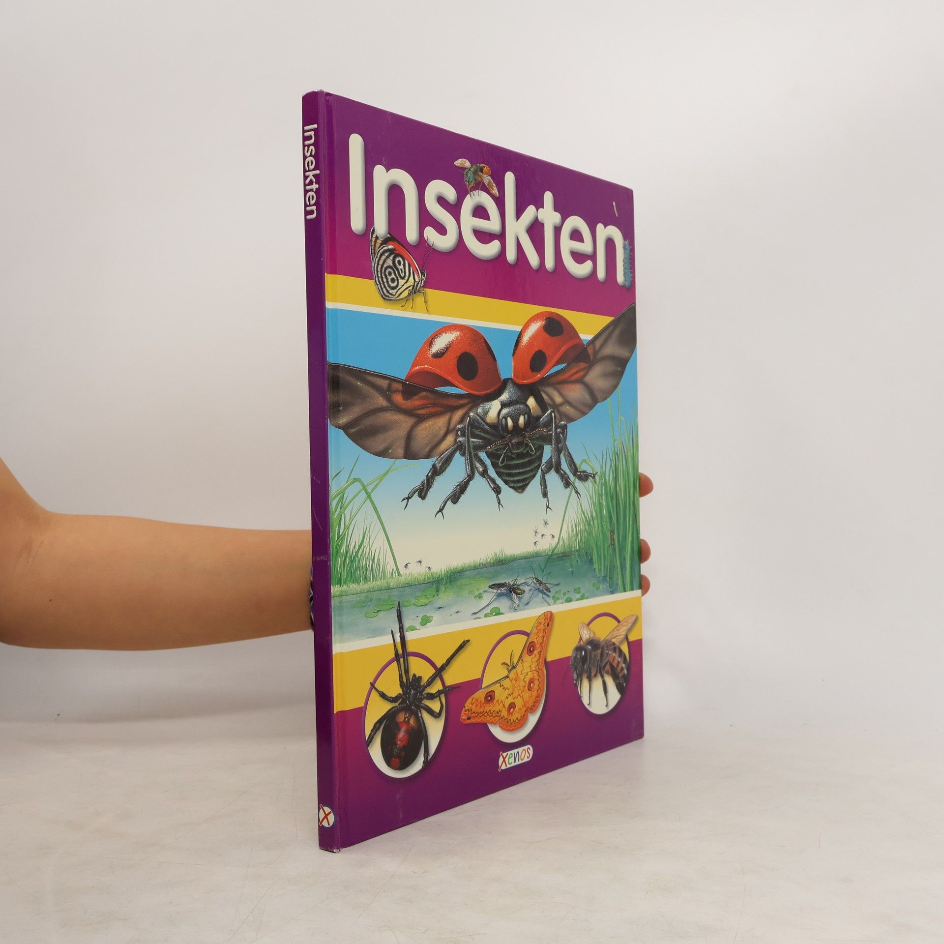 Helen Flint Insekten