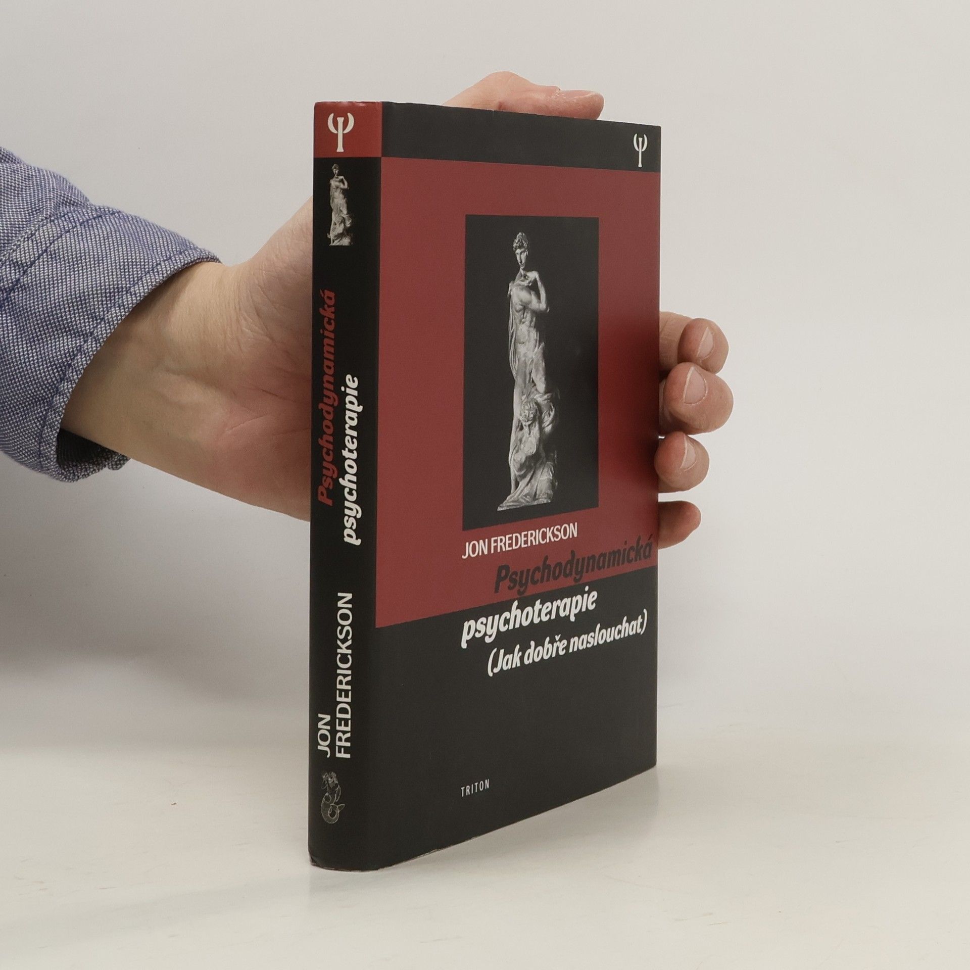Jon Frederickson Psychodynamická psychoterapie : (jak dobře naslouchat)
