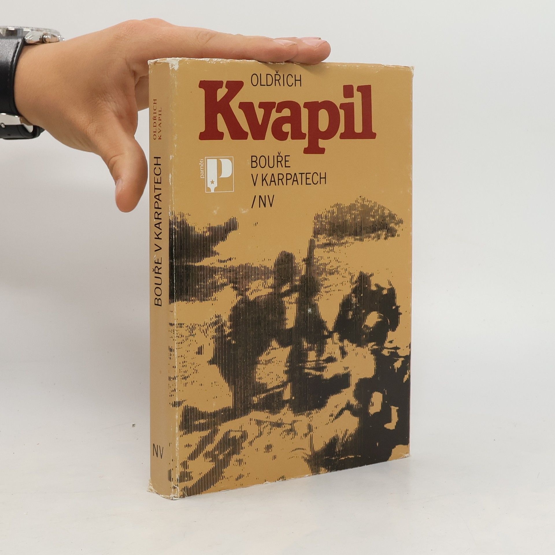 Oldřich Kvapil Bouře v Karpatech