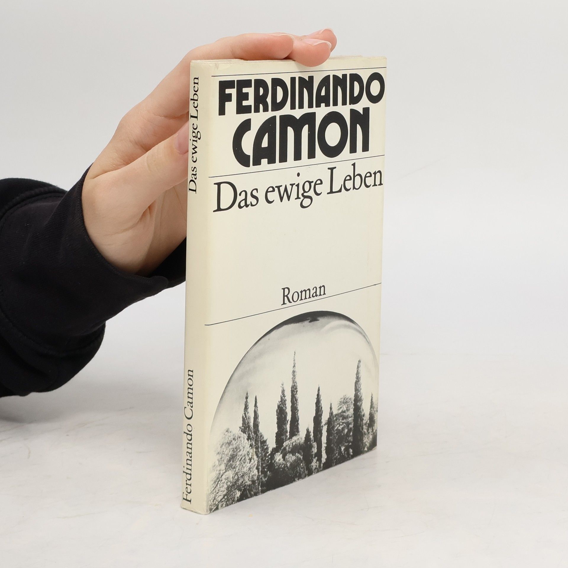 Ferdinando Camon Das ewige Leben
