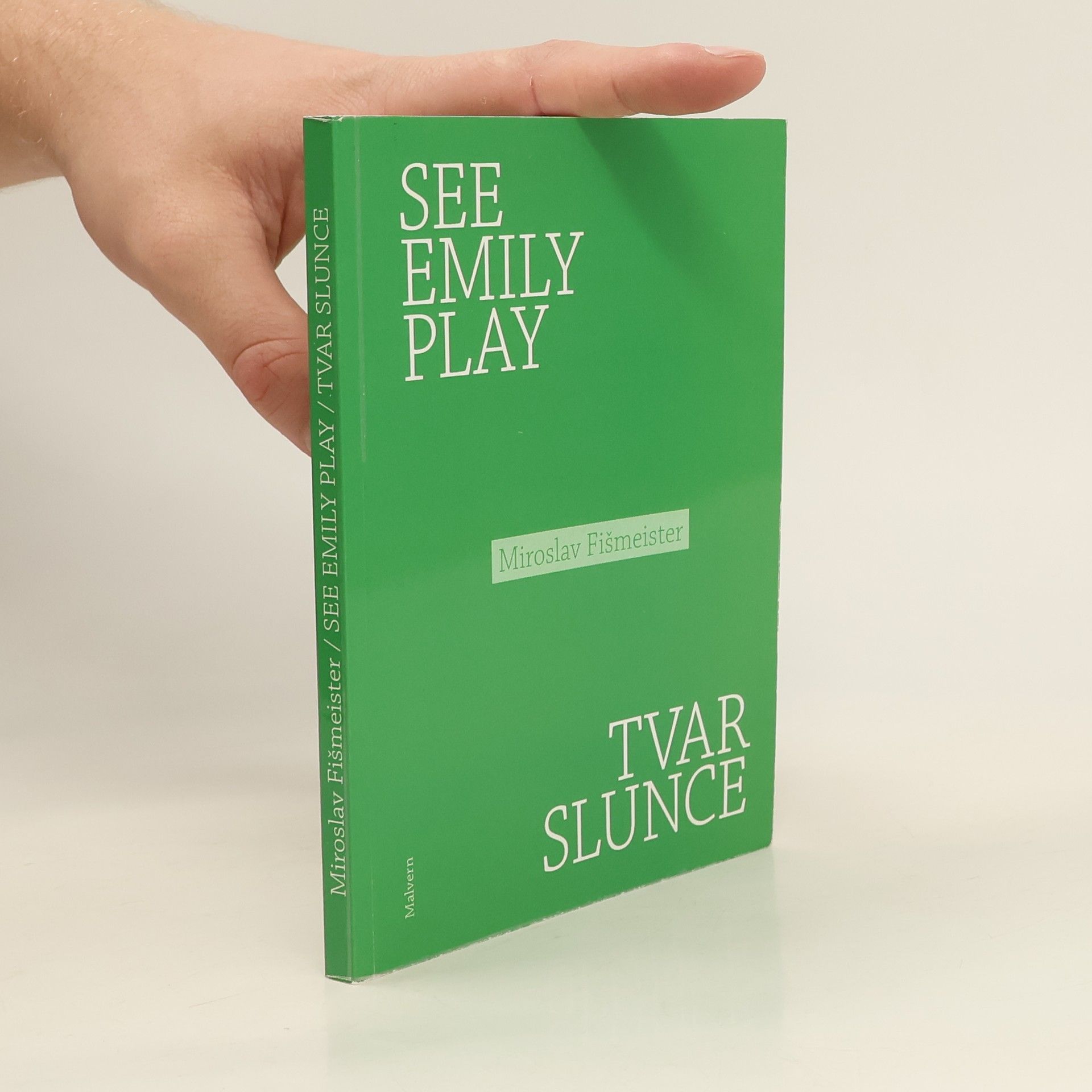 Miroslav Fišmeister See Emily Play / Tvar slunce