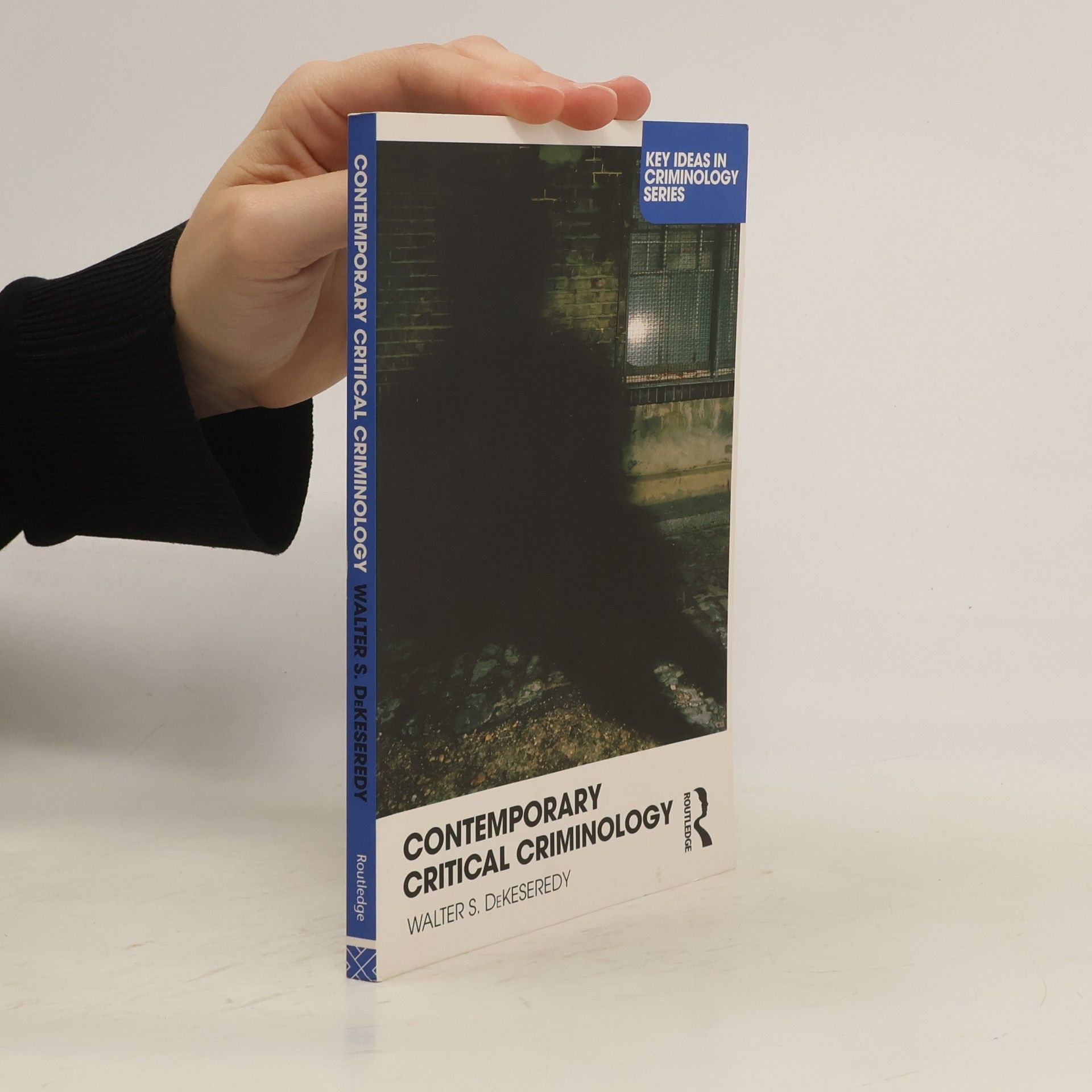 Walter S DeKeseredy Contemporary Critical Criminology