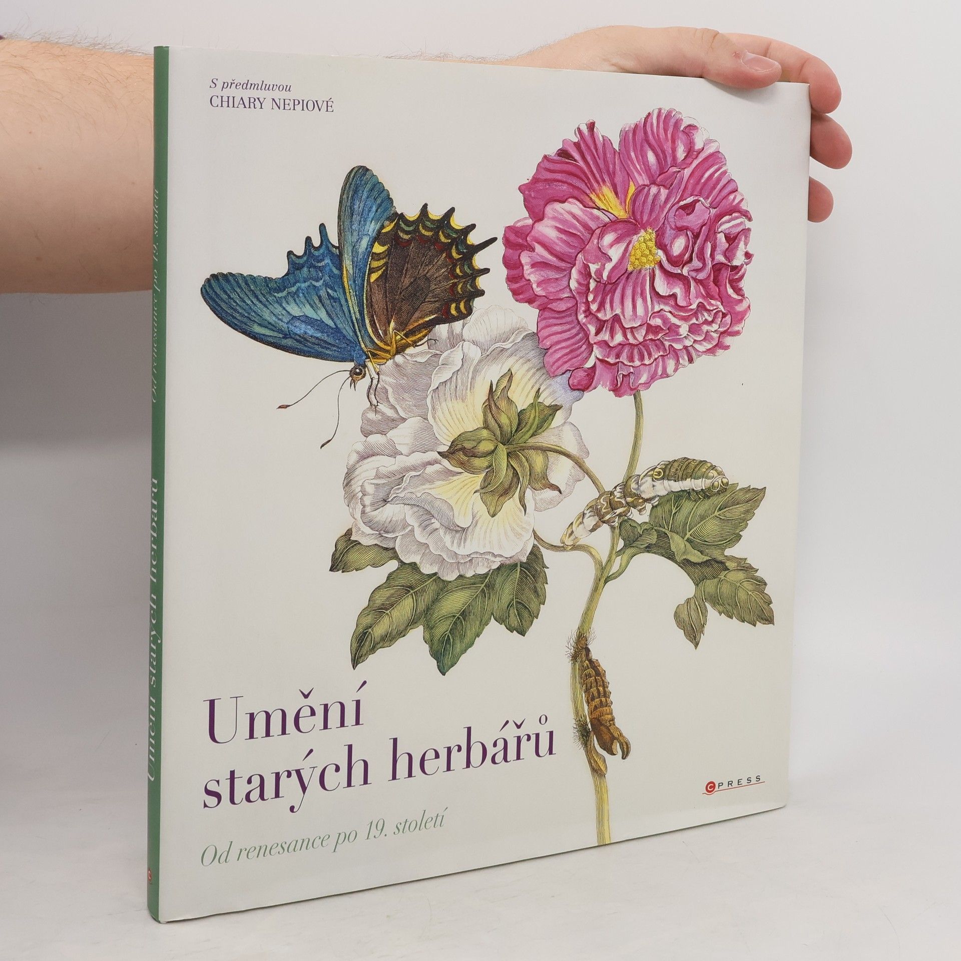 Chiara Nepi Umění starých herbářů : od renesance po 19. století