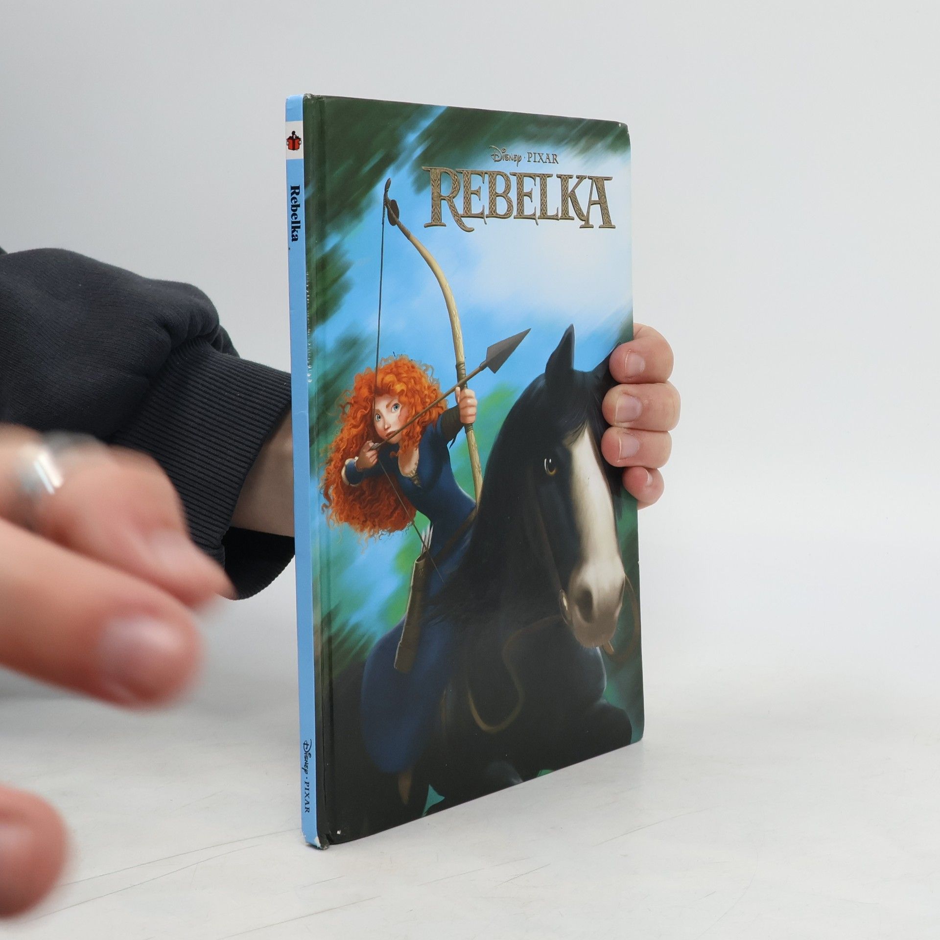 kolektiv Rebelka