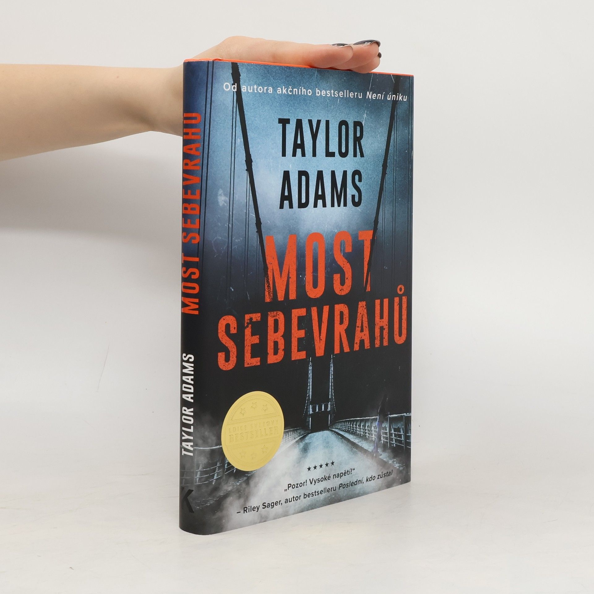 Taylor Adams Most sebevrahů
