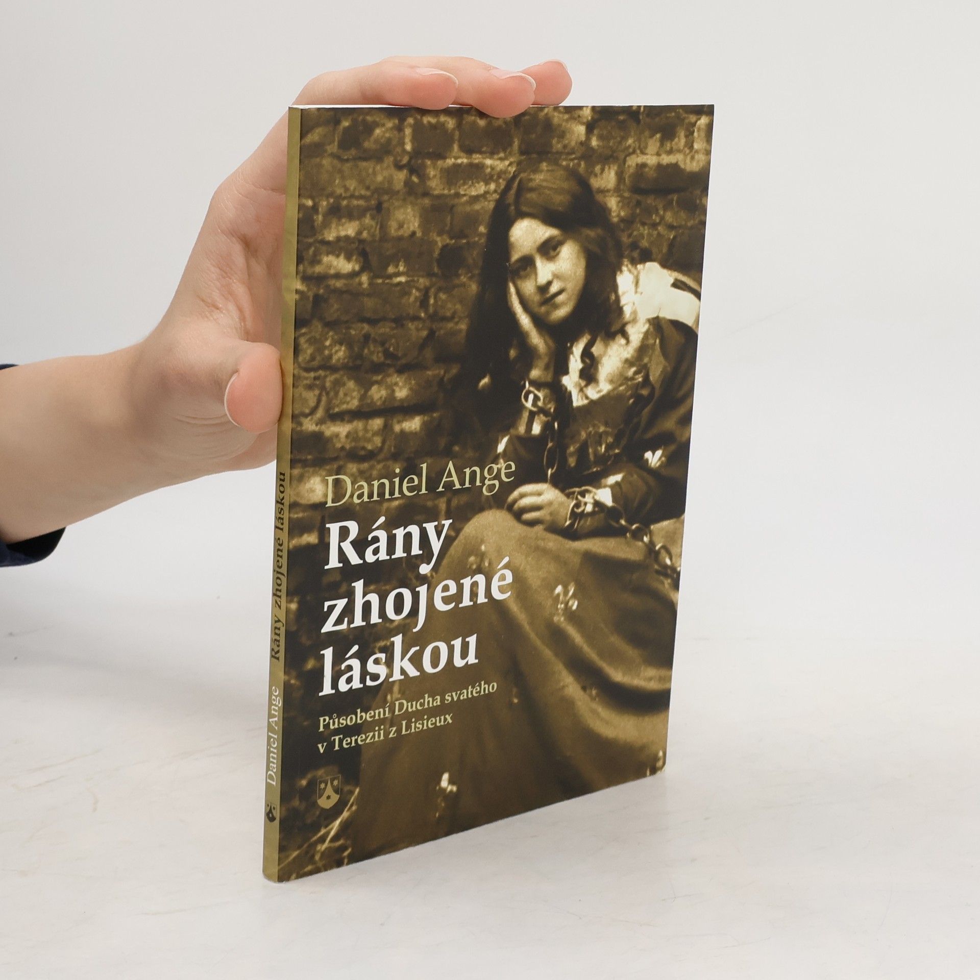 Daniel Ange Rány zhojené láskou
