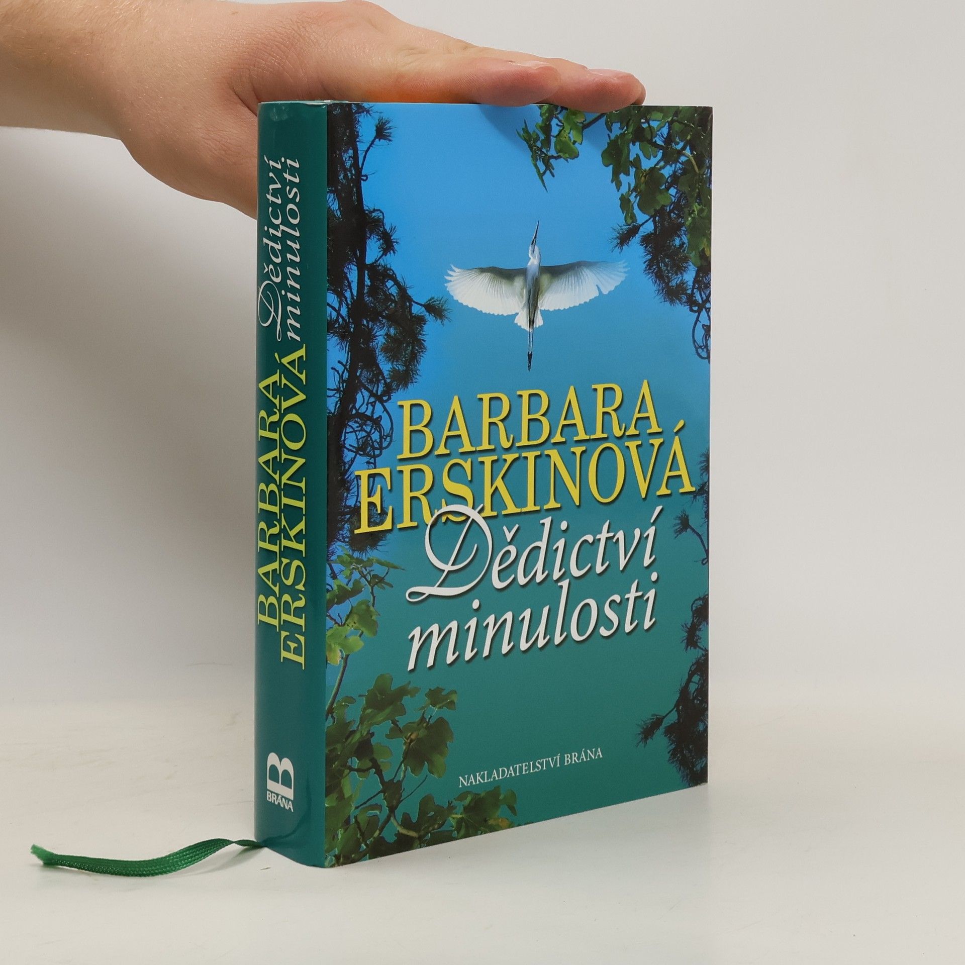 Barbara Erskine Dědictví minulosti