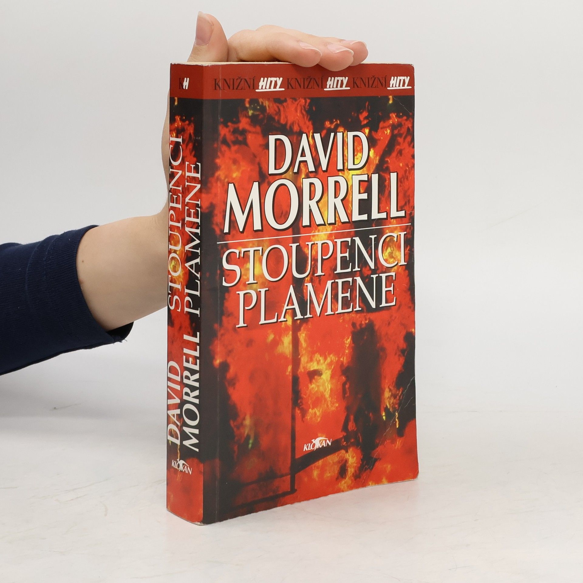 David Morrell Stoupenci plamene