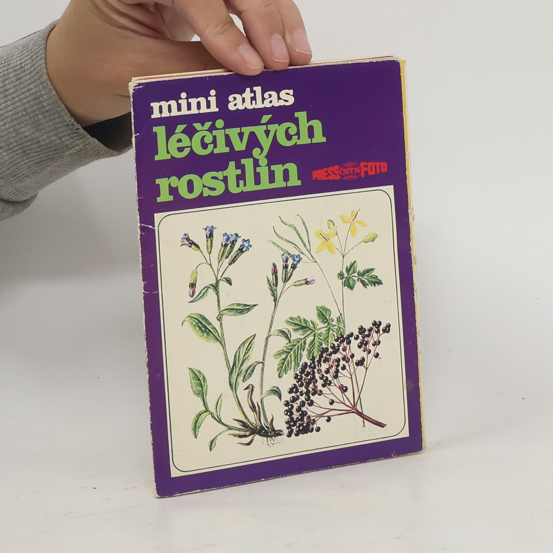 Kolektív autorov Mini atlas liečivých rastlín